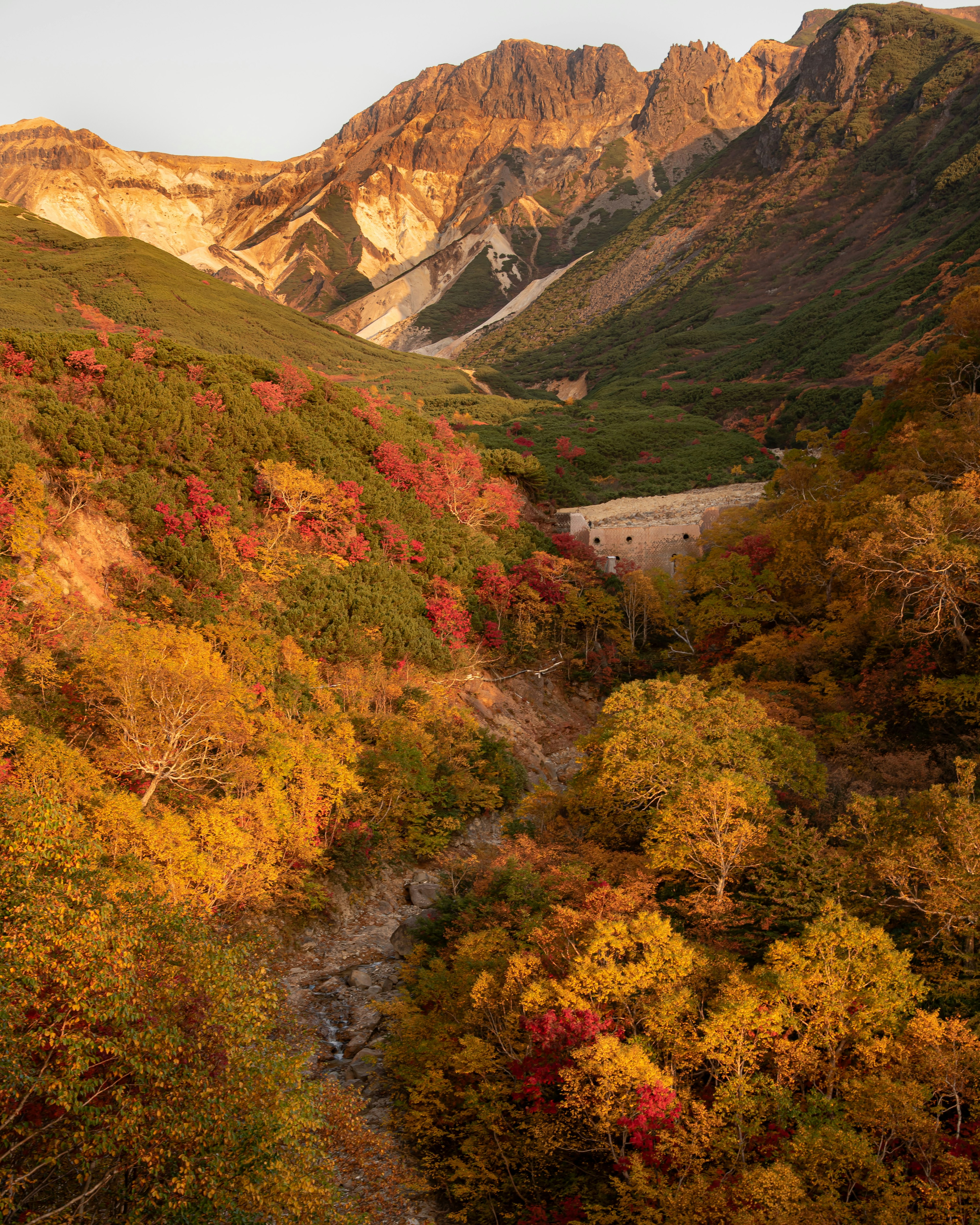 Scenic view of autumn foliage in a valley with mountains