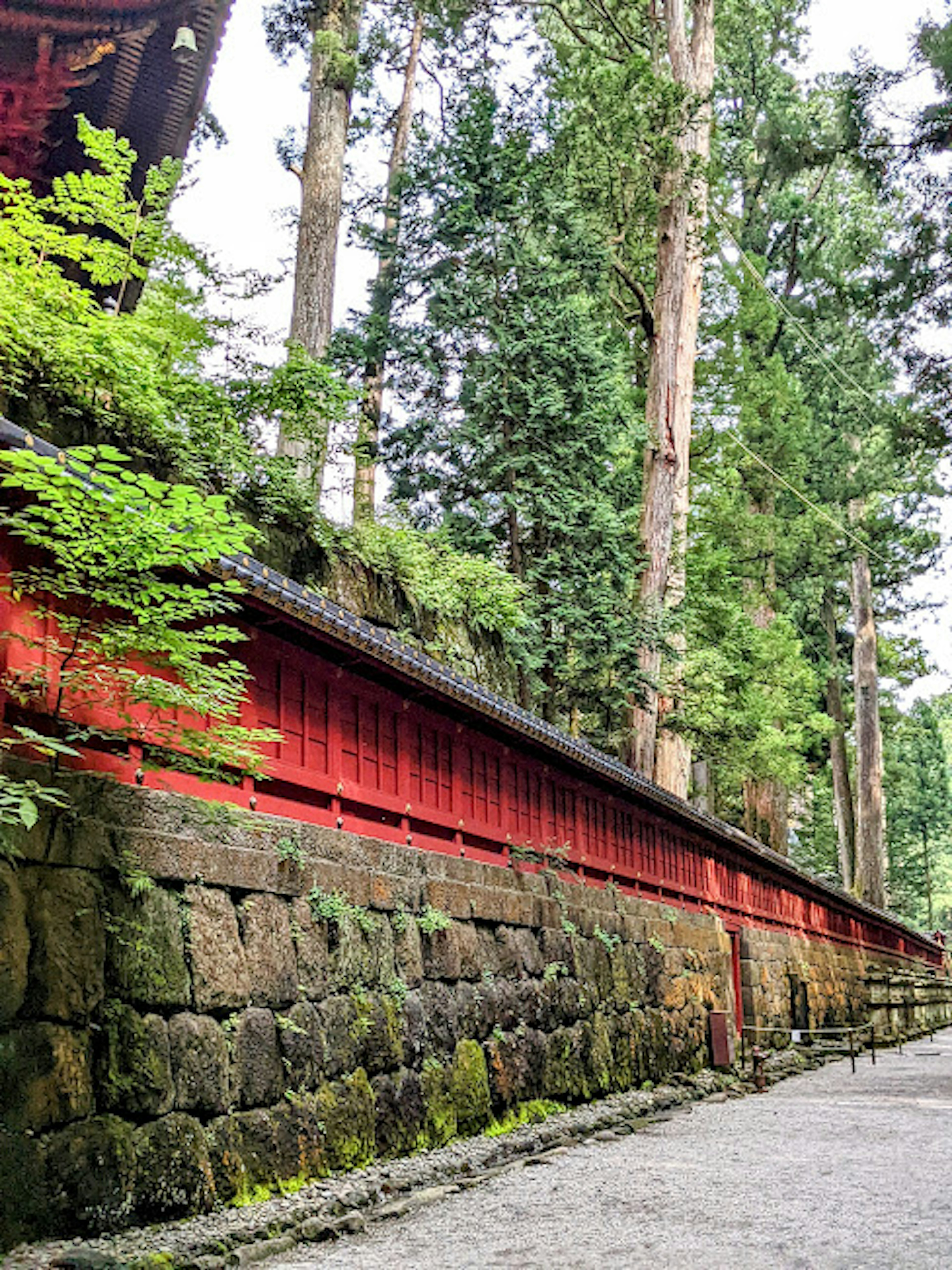 Vista panoramica di un muro rosso con alberi verdi lungo un sentiero