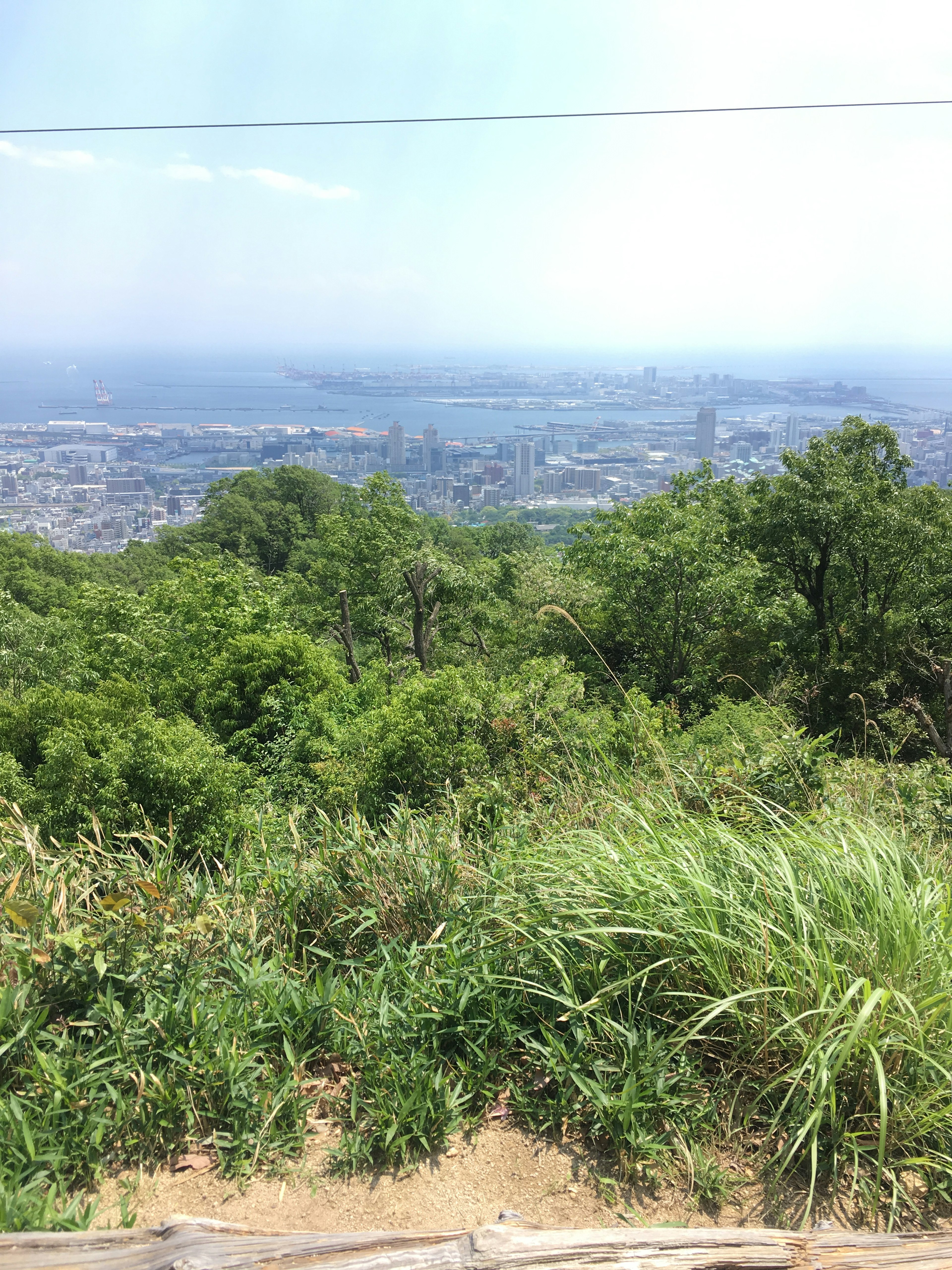 View from a mountain top with lush greenery and distant city