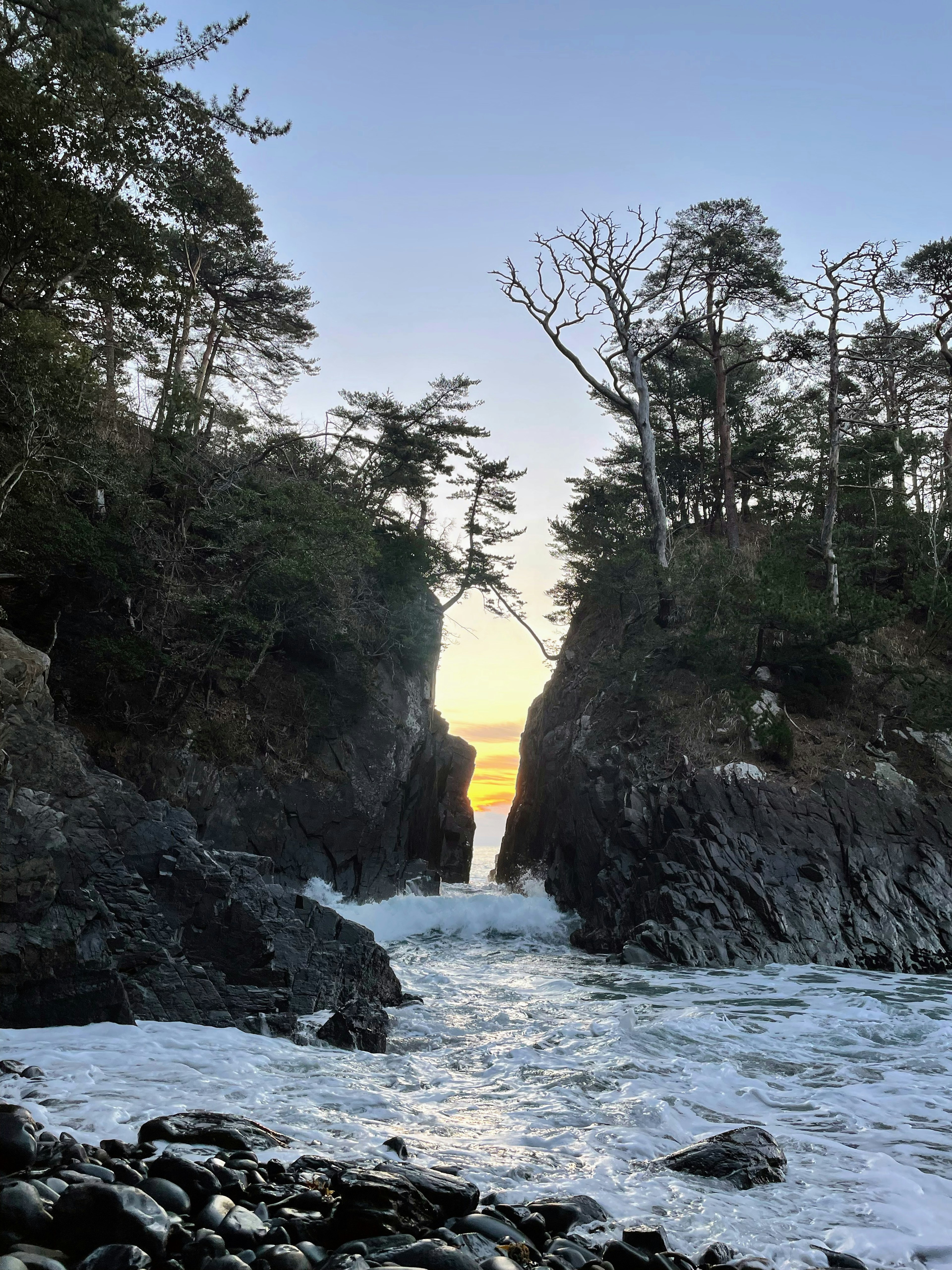 岩石海灣的風景，背景是樹木和日落