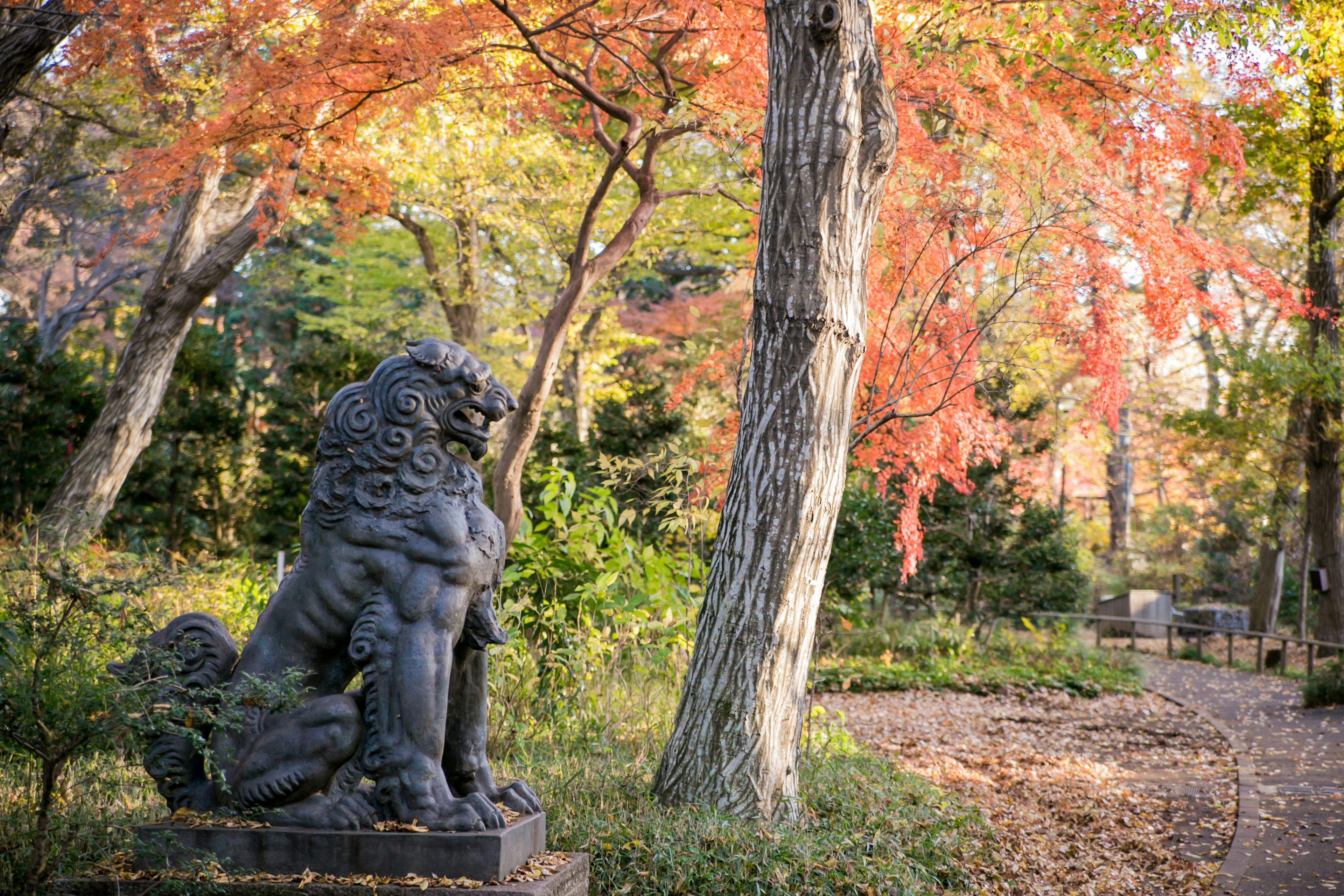 Steinlöwenstatue umgeben von Herbstblättern und grünen Bäumen