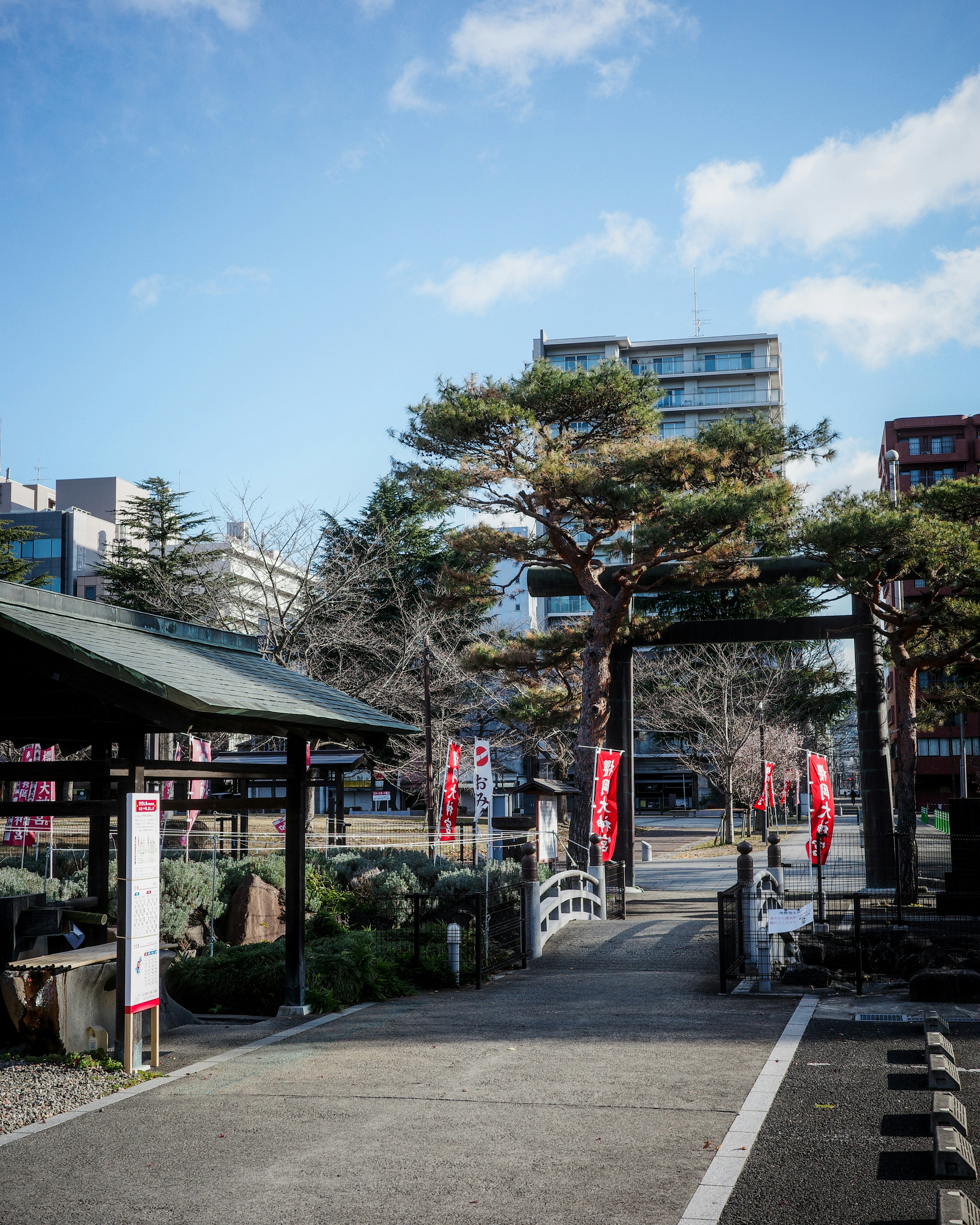 公園の入り口にある伝統的な鳥居と松の木の景色