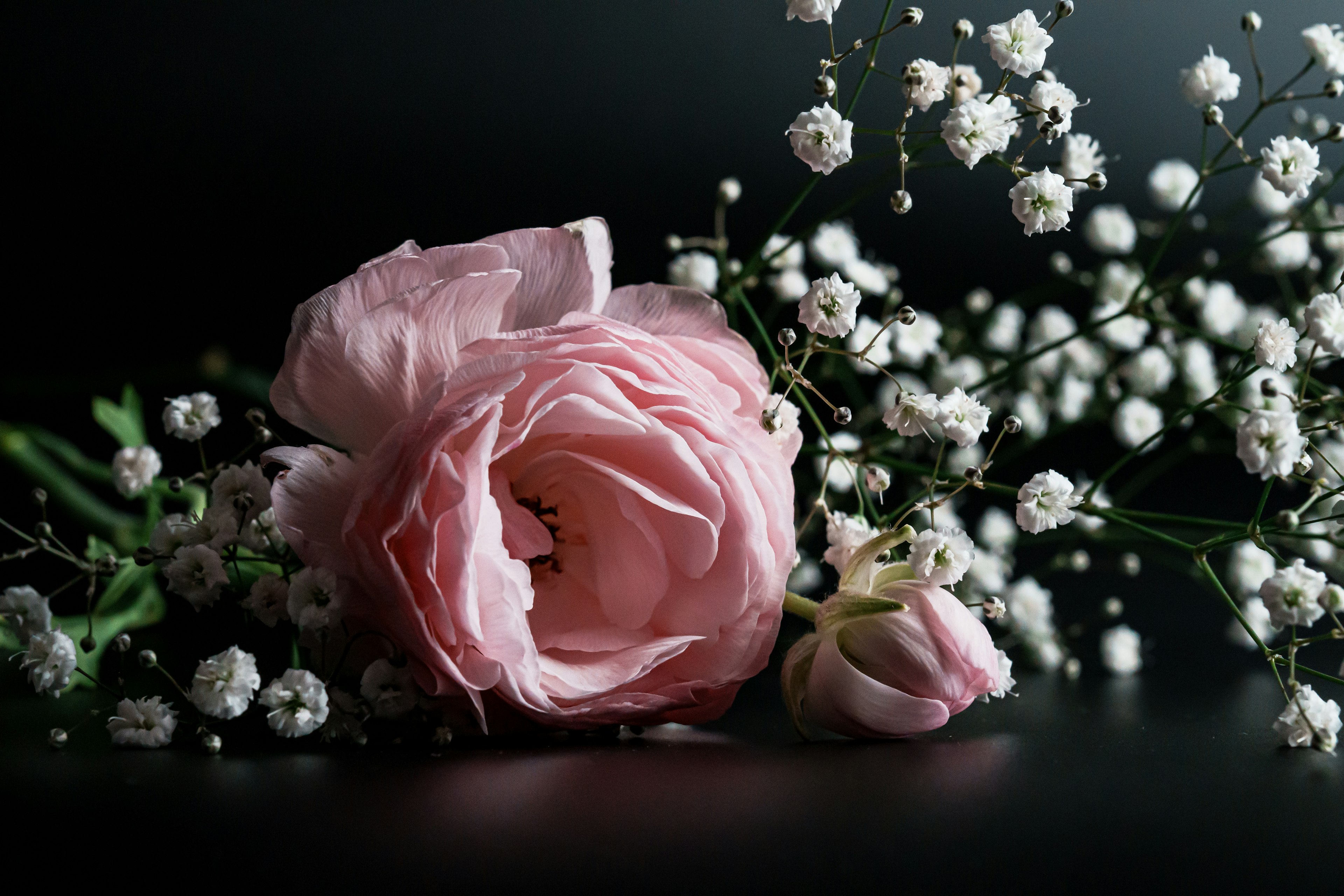 A beautiful floral arrangement featuring a pink rose and baby breath on a black background