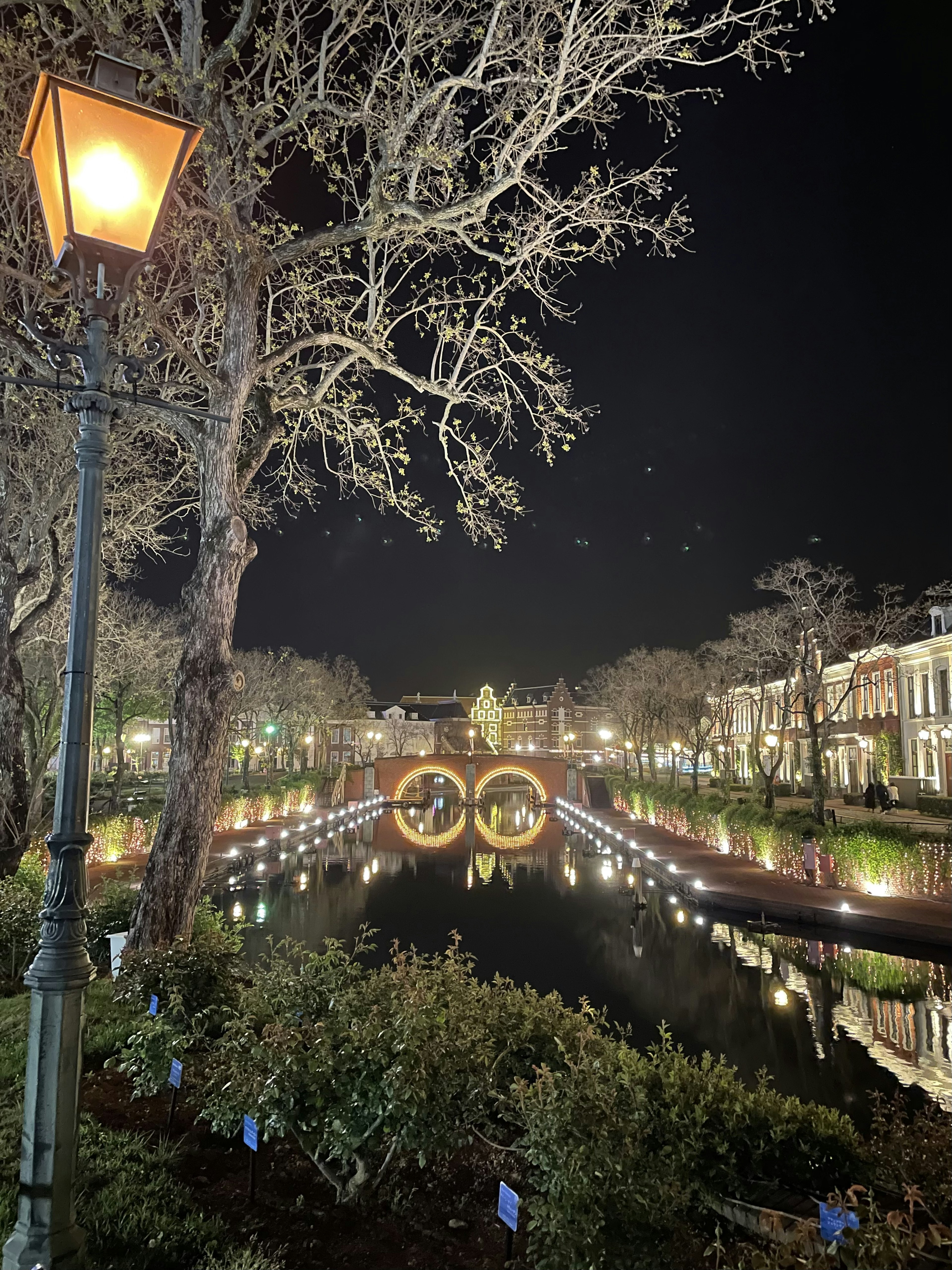 夜の公園での美しい池と照明が施された木々の風景