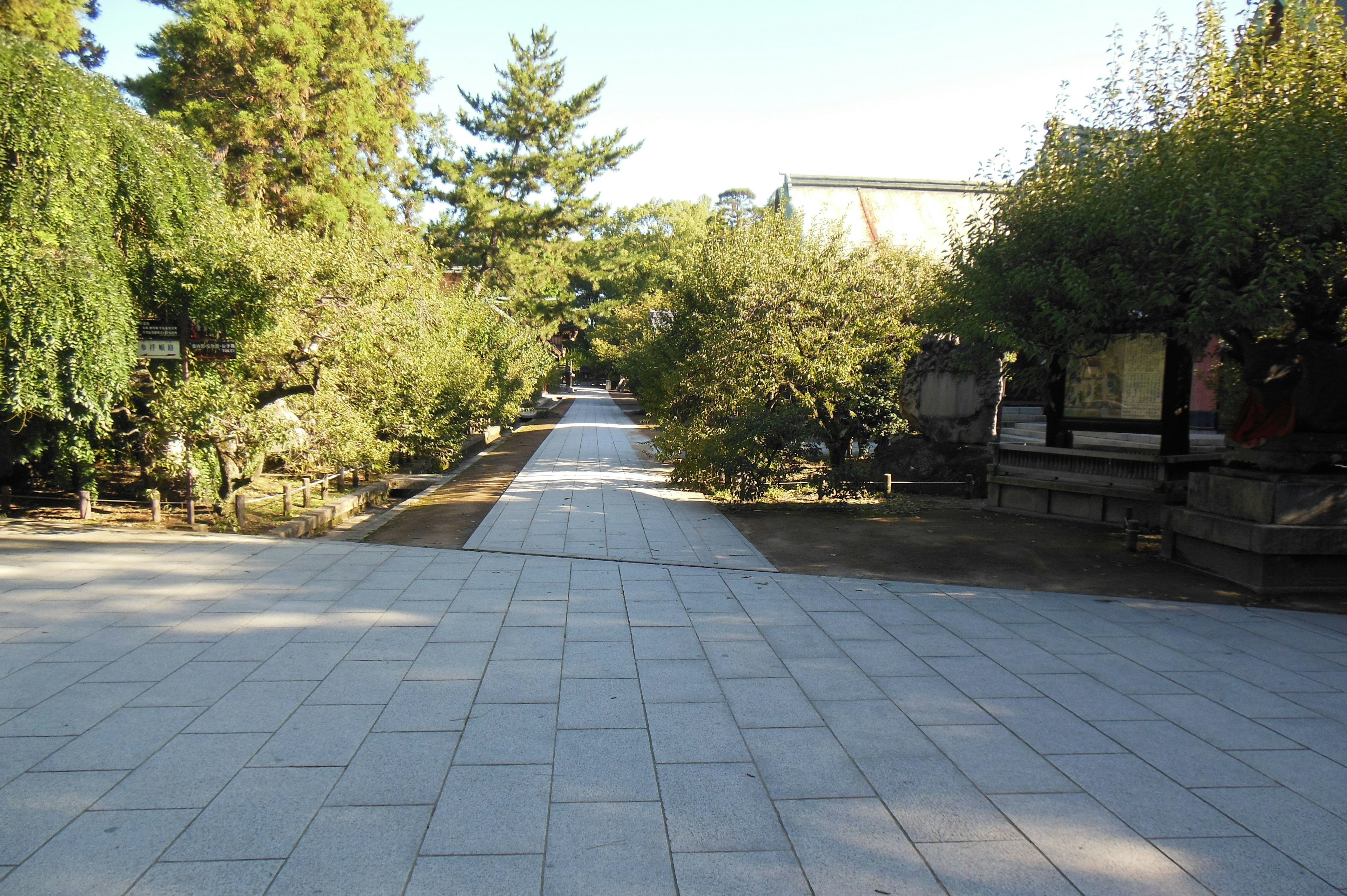 A serene pathway surrounded by lush greenery