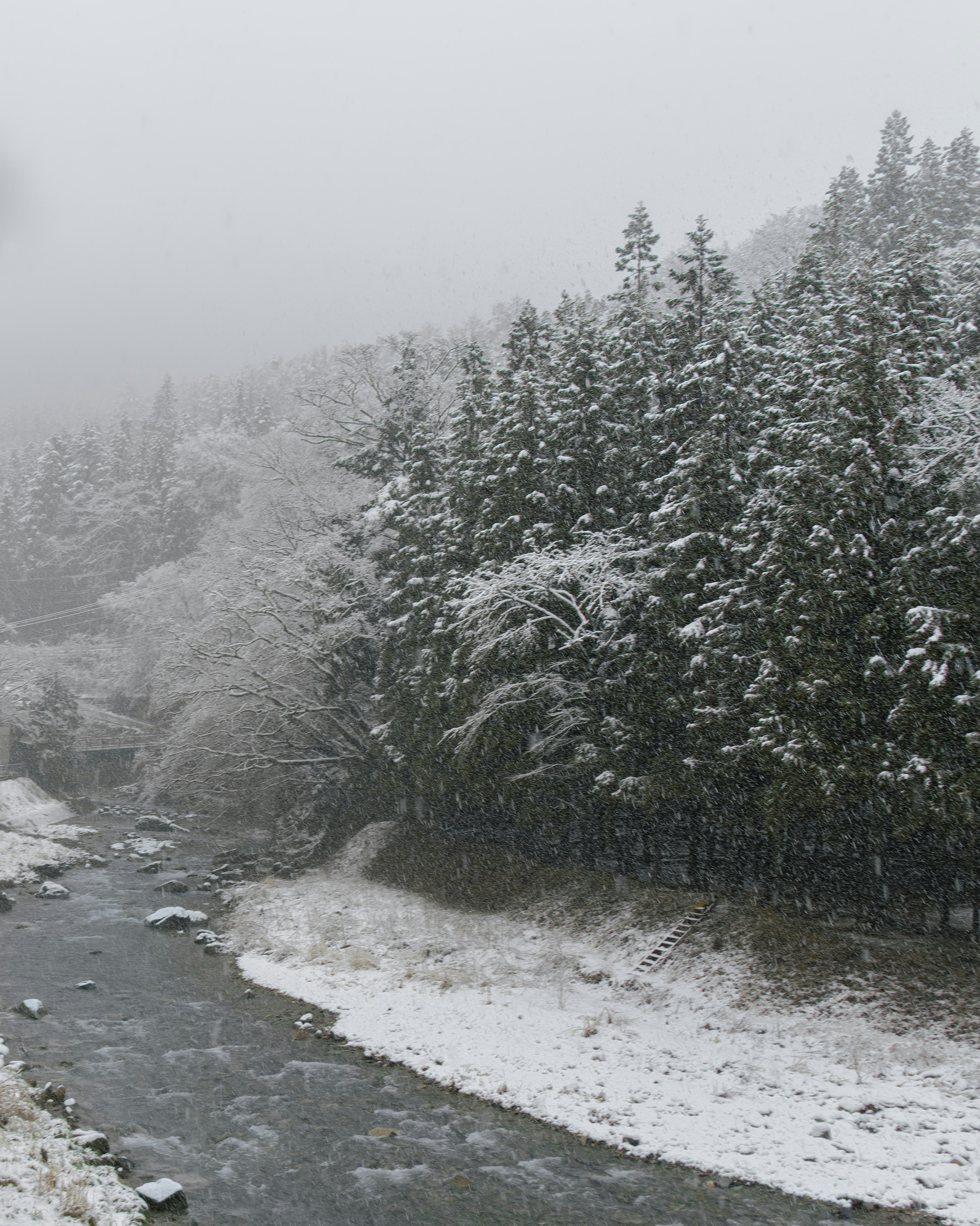 Snow-covered forest and river landscape