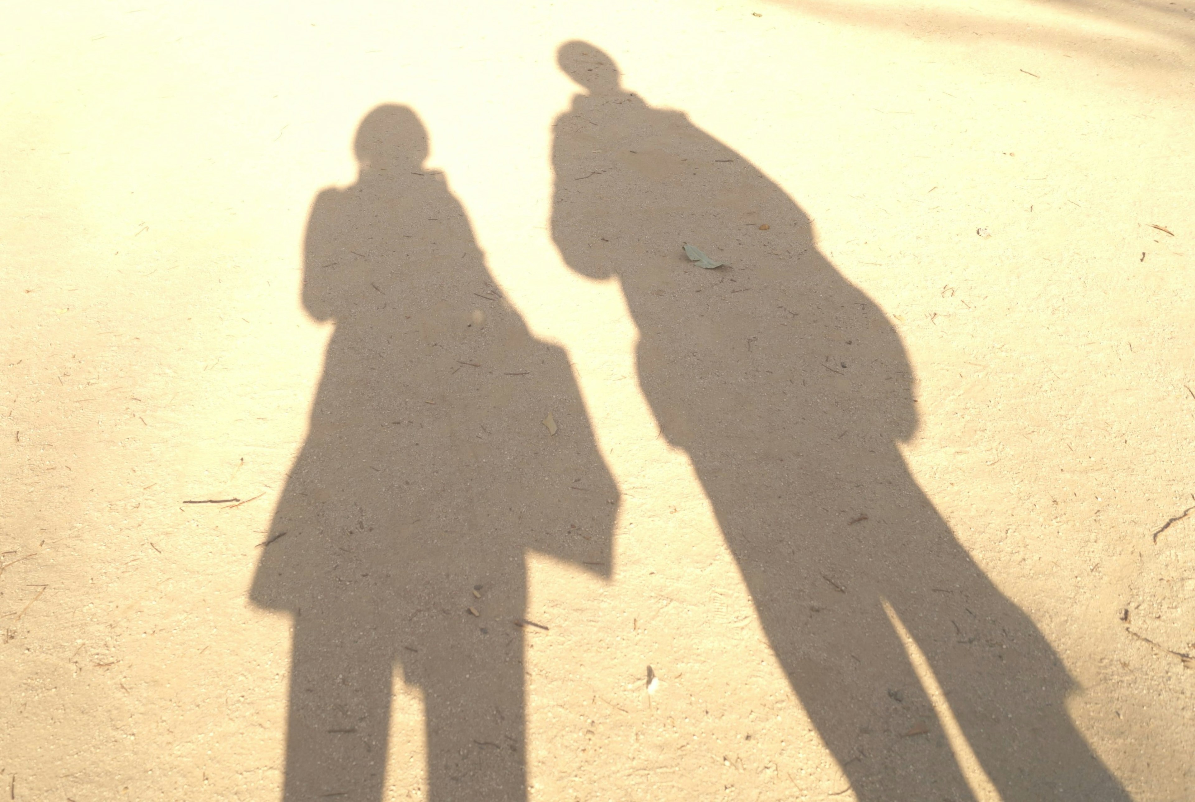 Silhouettes of two people casting shadows on the ground