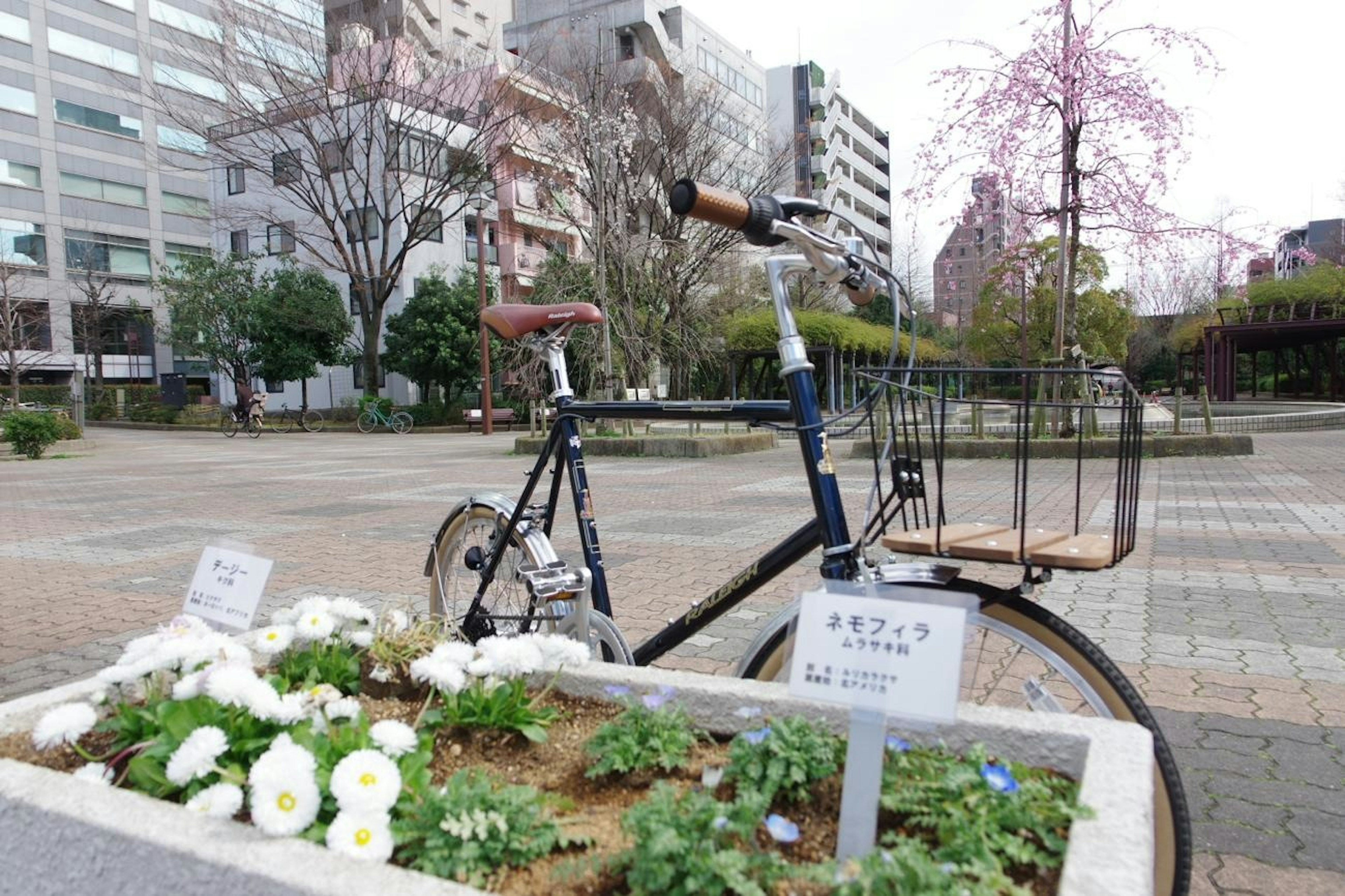 公园里花坛旁边的一辆自行车，背景是建筑物