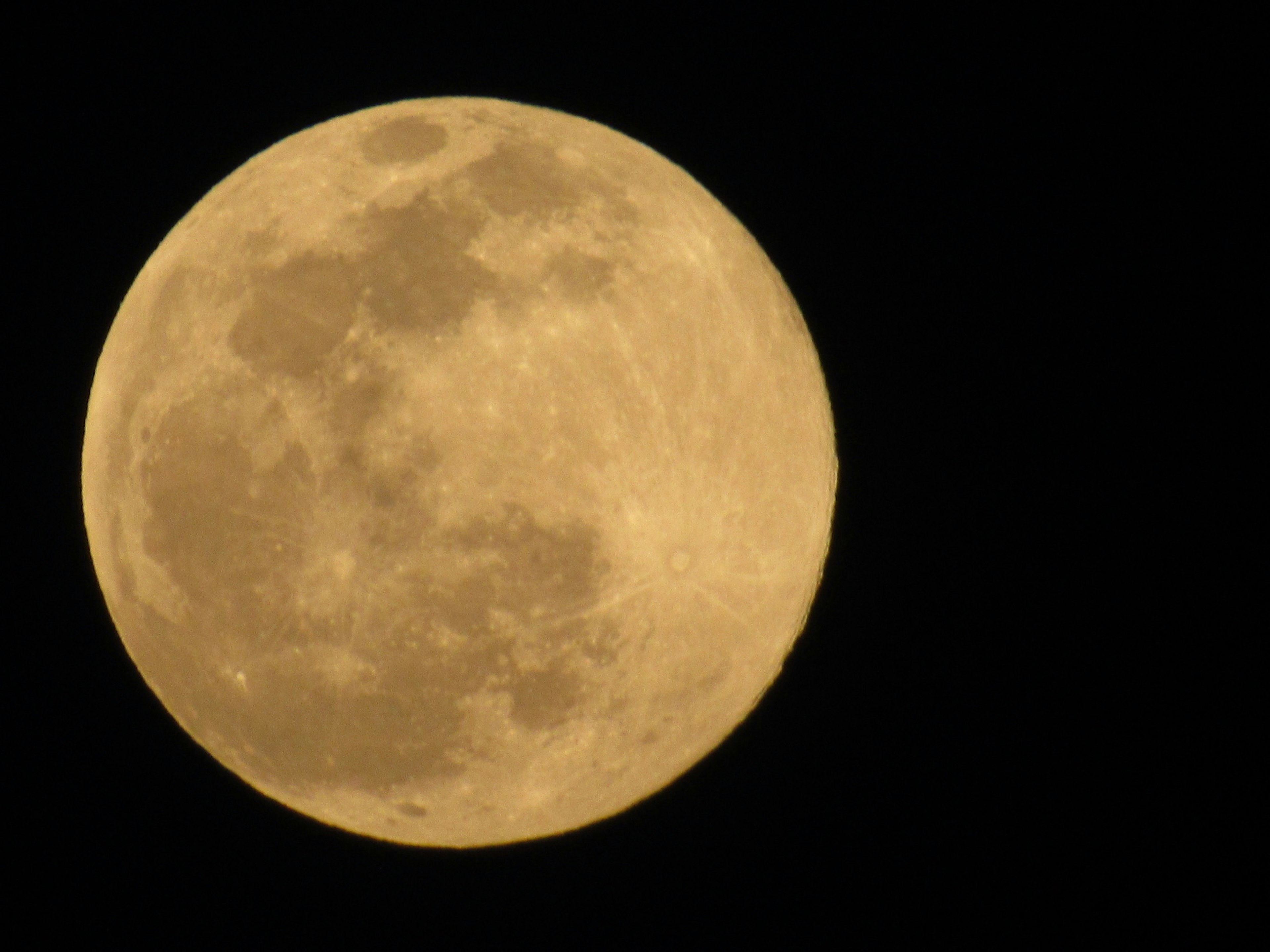 Bella luna piena giallastra con crateri dettagliati