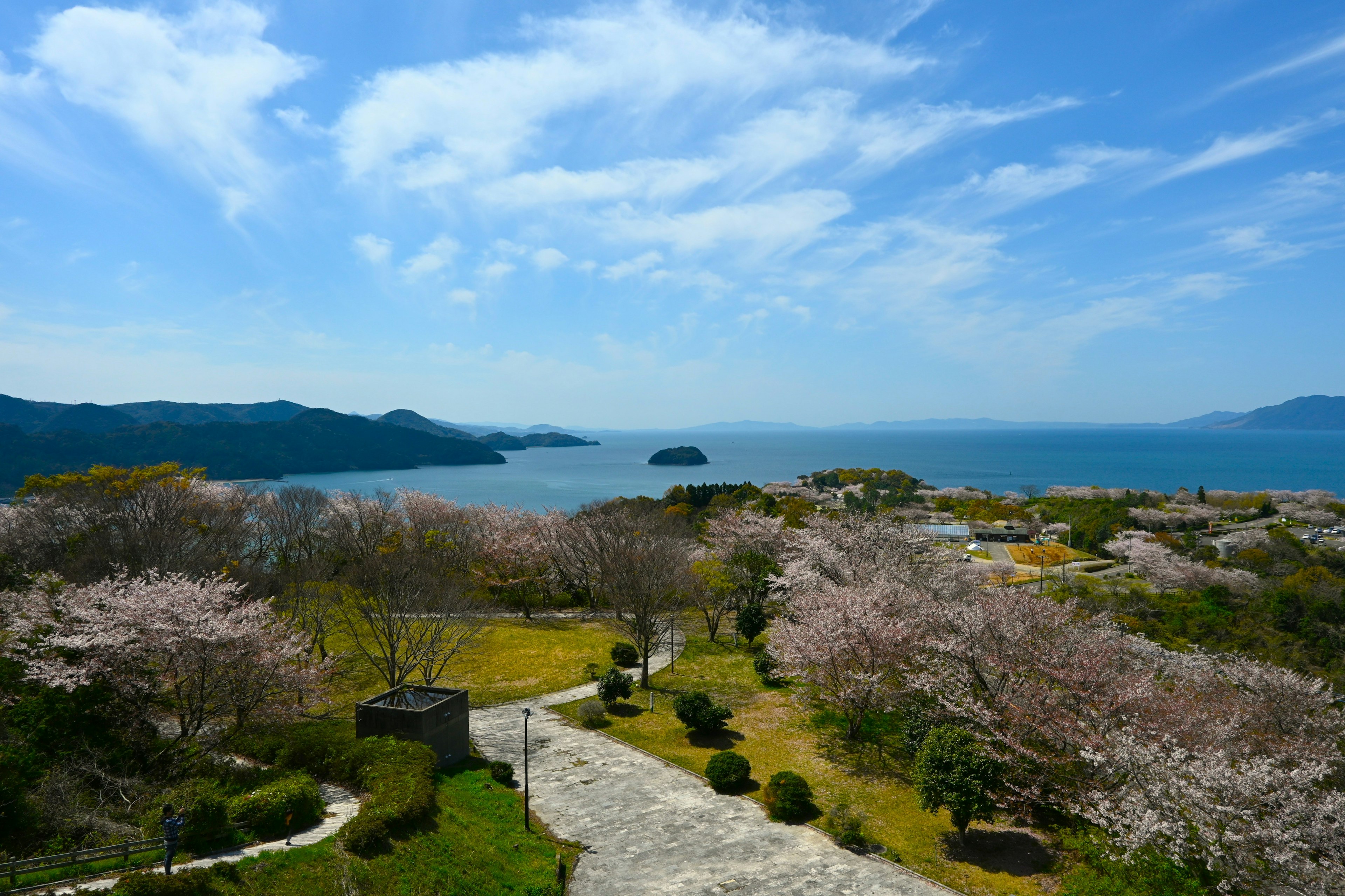 青い海と桜の木々が広がる風景