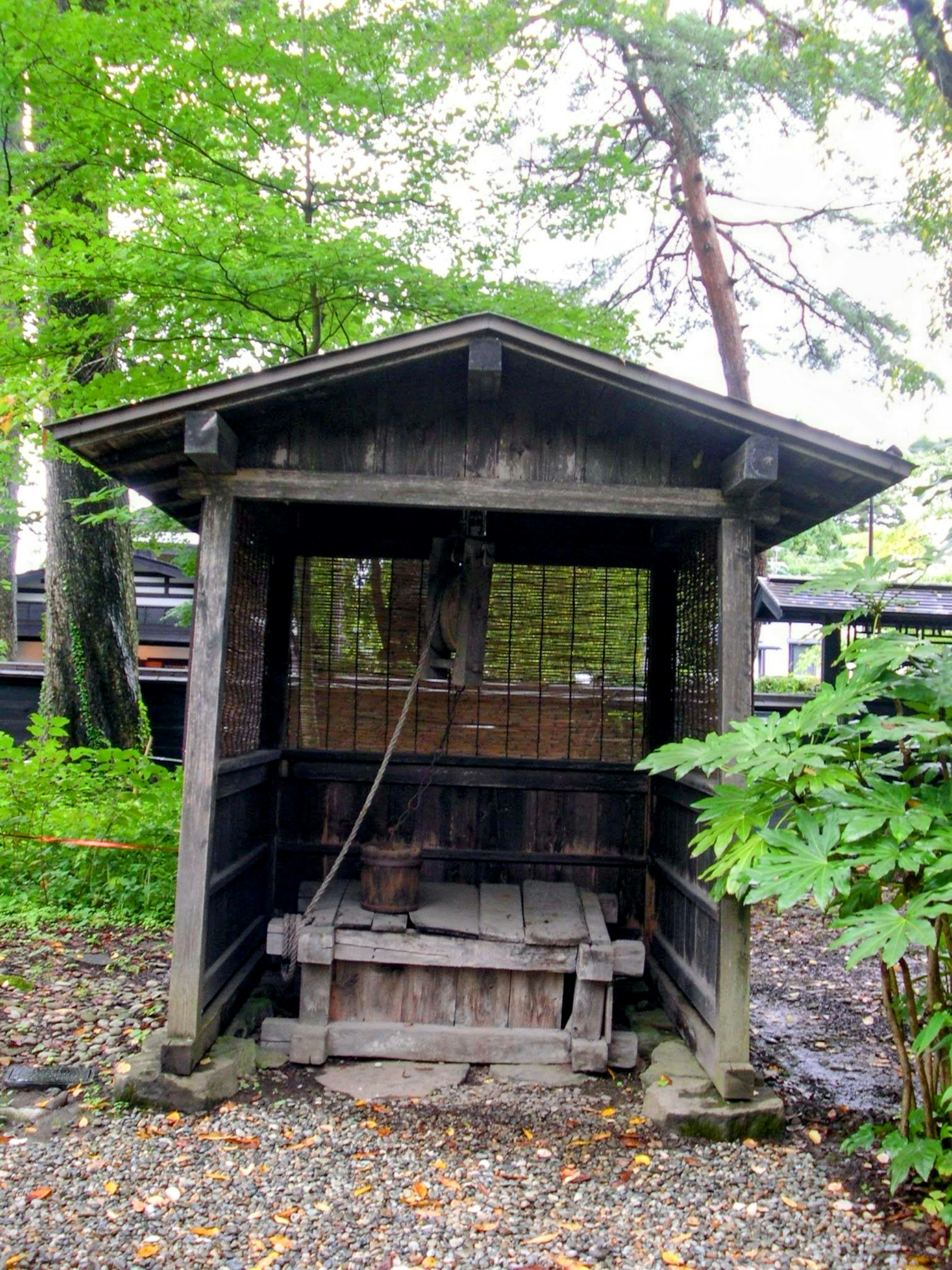 Old wooden hut surrounded by lush green trees