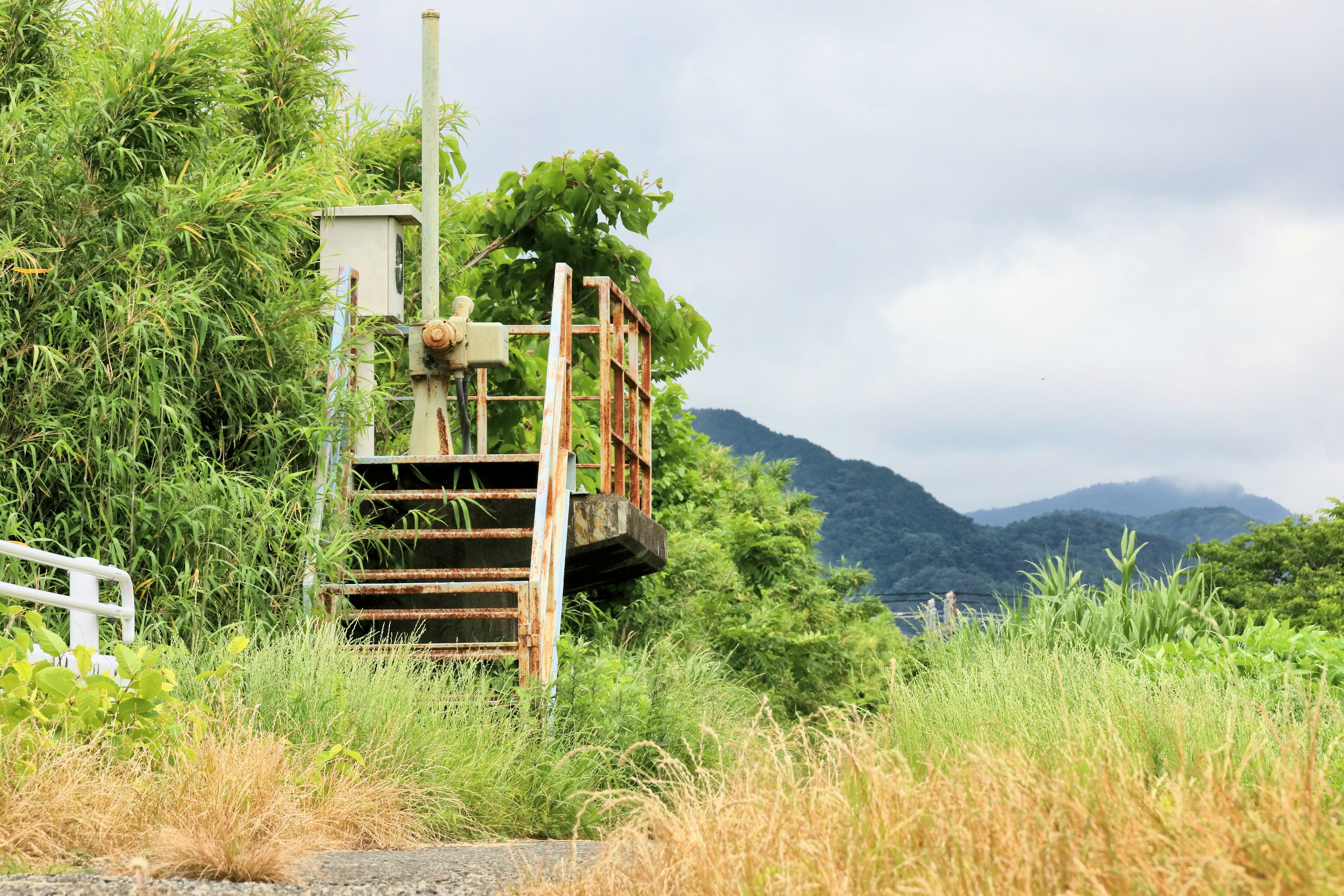 Escaleras de madera antiguas rodeadas de vegetación exuberante y montañas al fondo