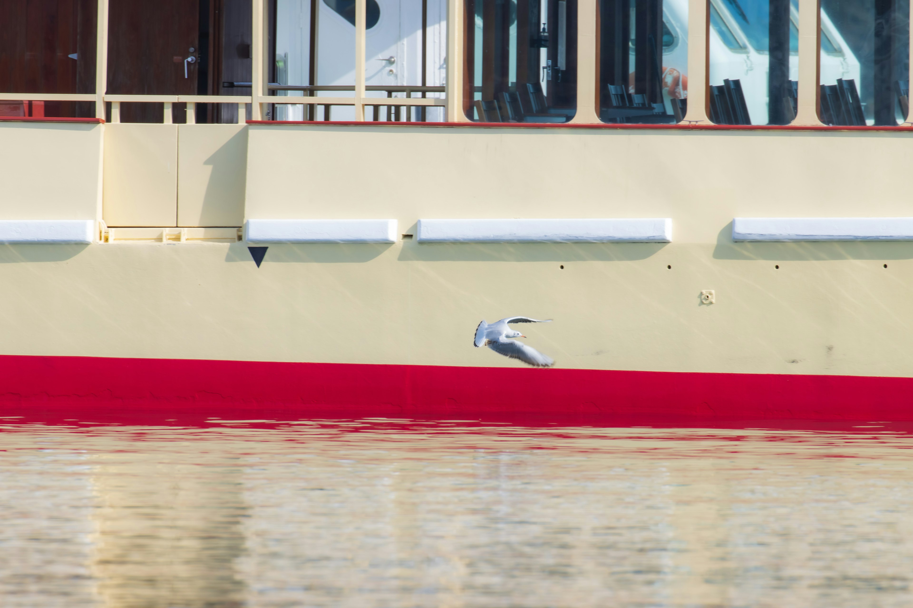 Gaviota volando al lado de un bote rojo