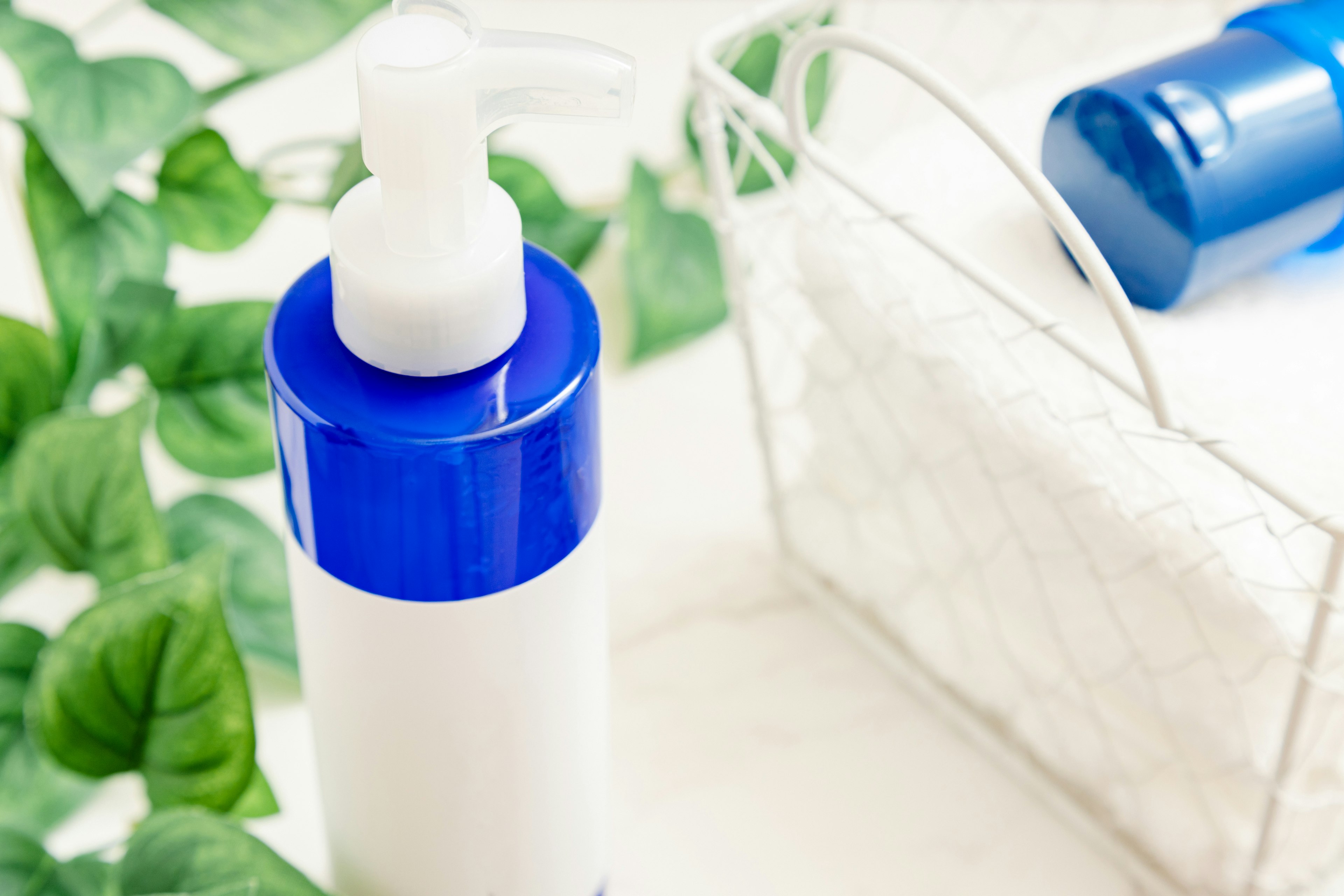 Blue capped bottle with a clean background of leaves