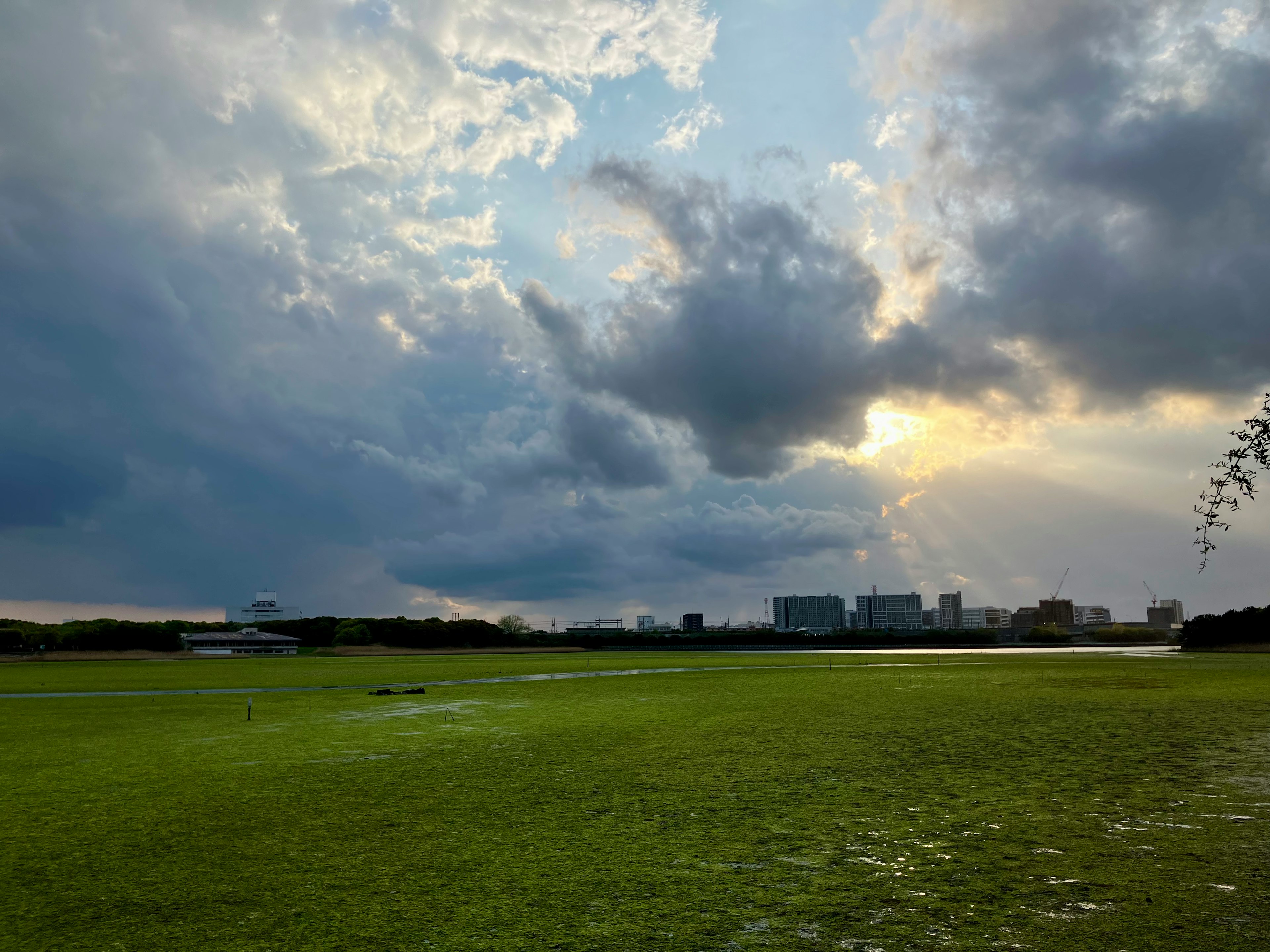 Paysage avec un champ de gazon vert et un ciel nuageux vaste