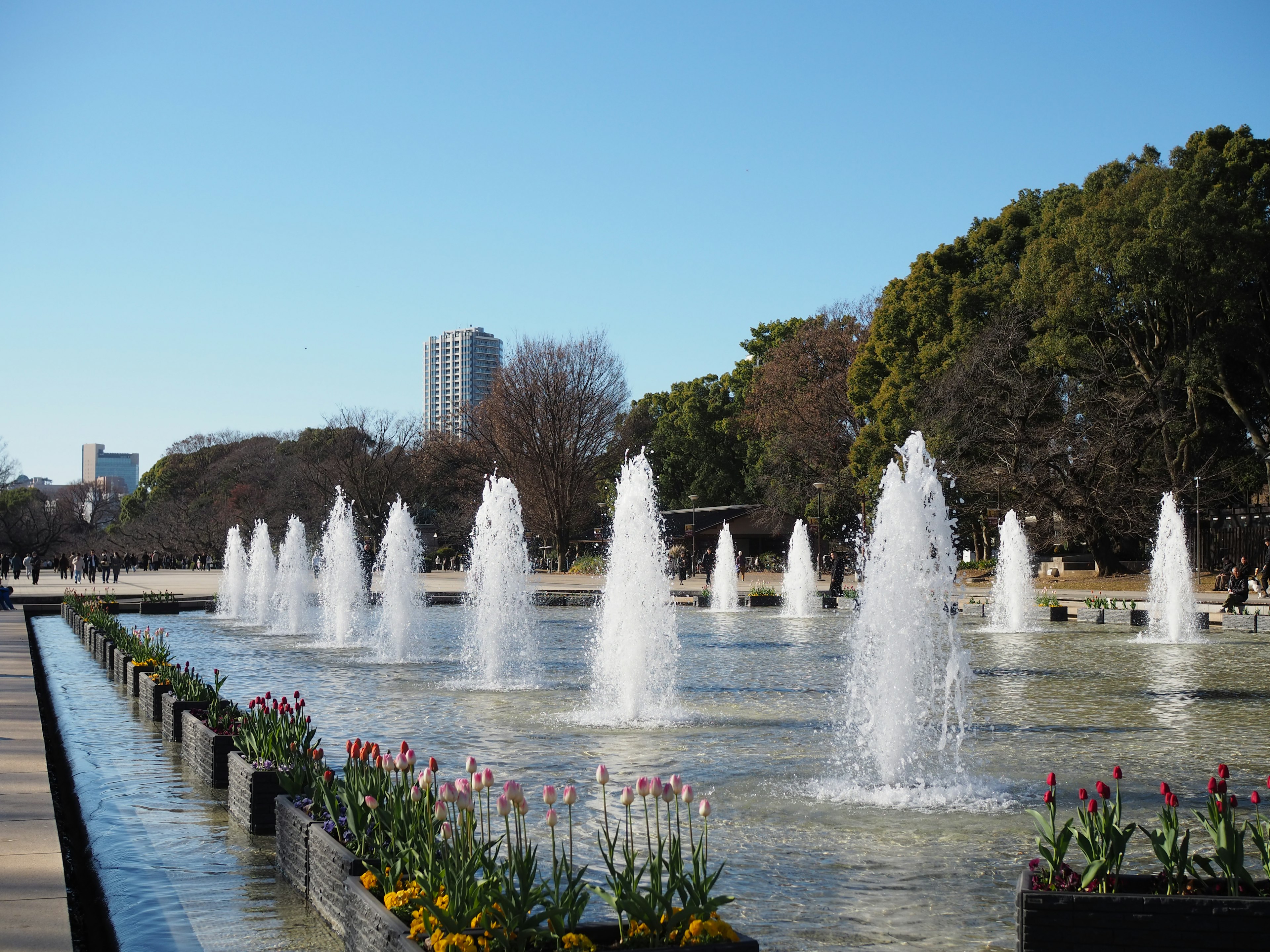 Hermosa escena de parque con fuentes y parterres de flores