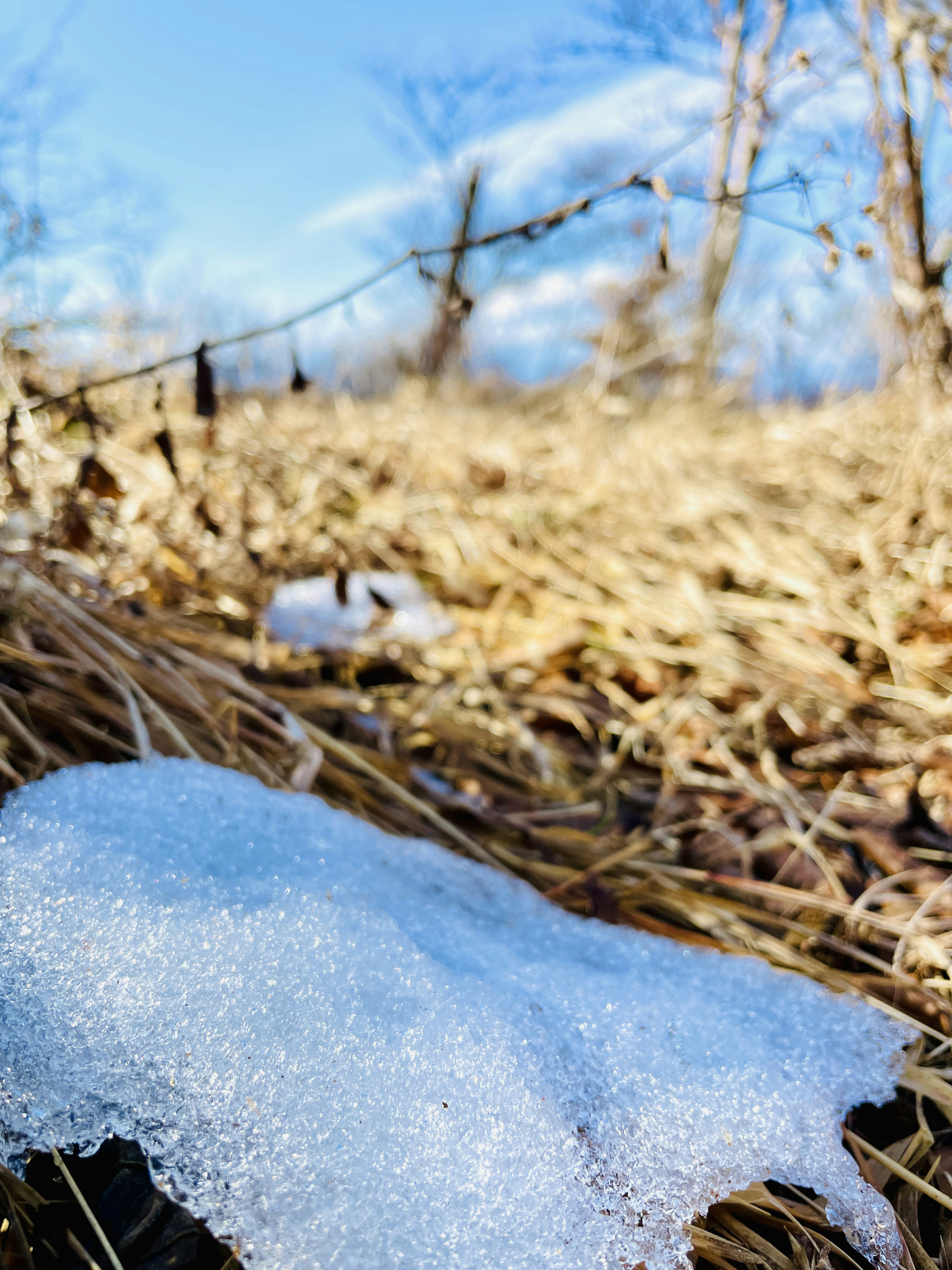 Un pezzo di neve su un prato secco con cielo blu