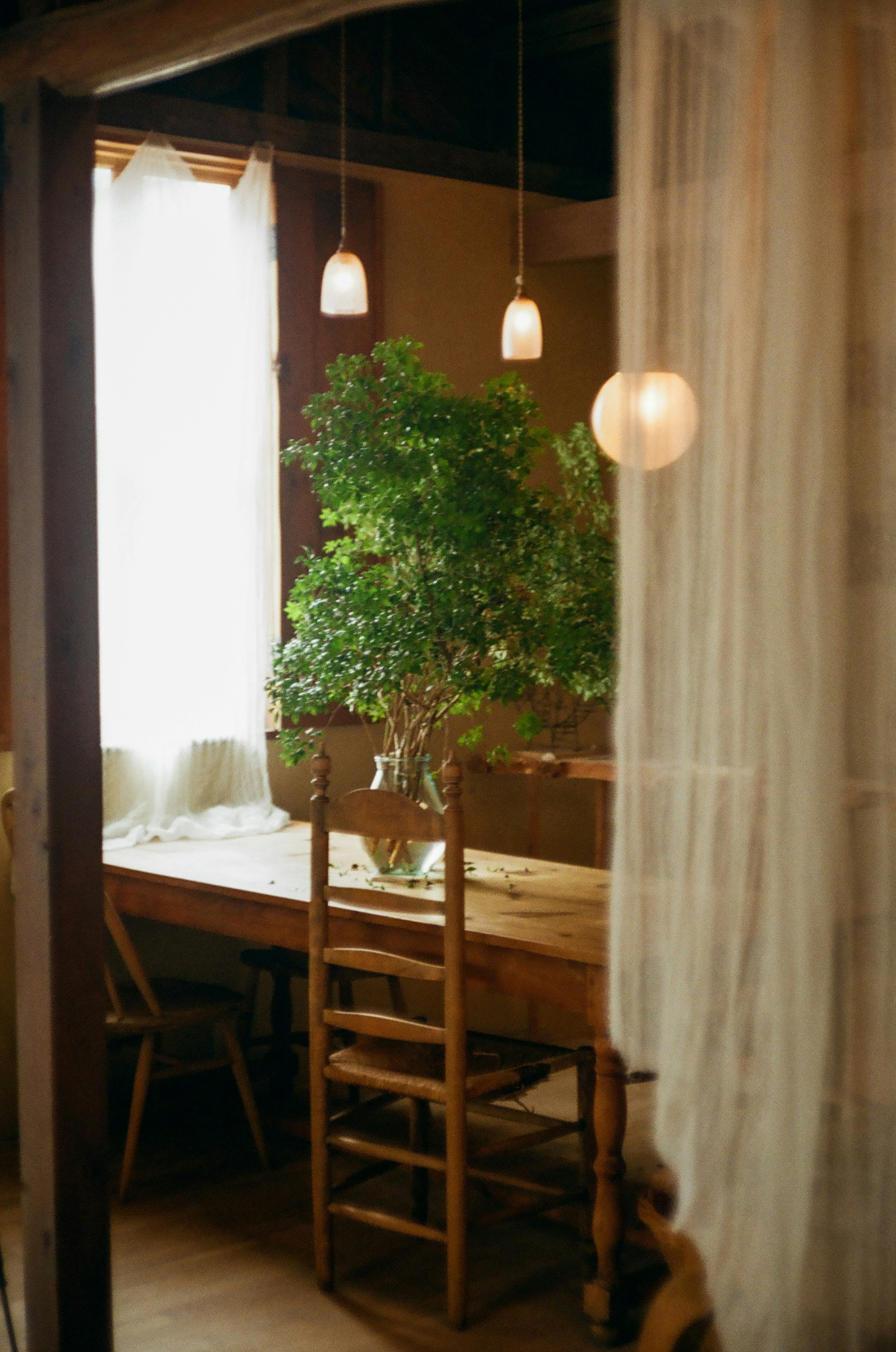 Gemütliches Interieur mit einem Holztisch und Stühlen neben einem hellen Fenster mit einer grünen Pflanze