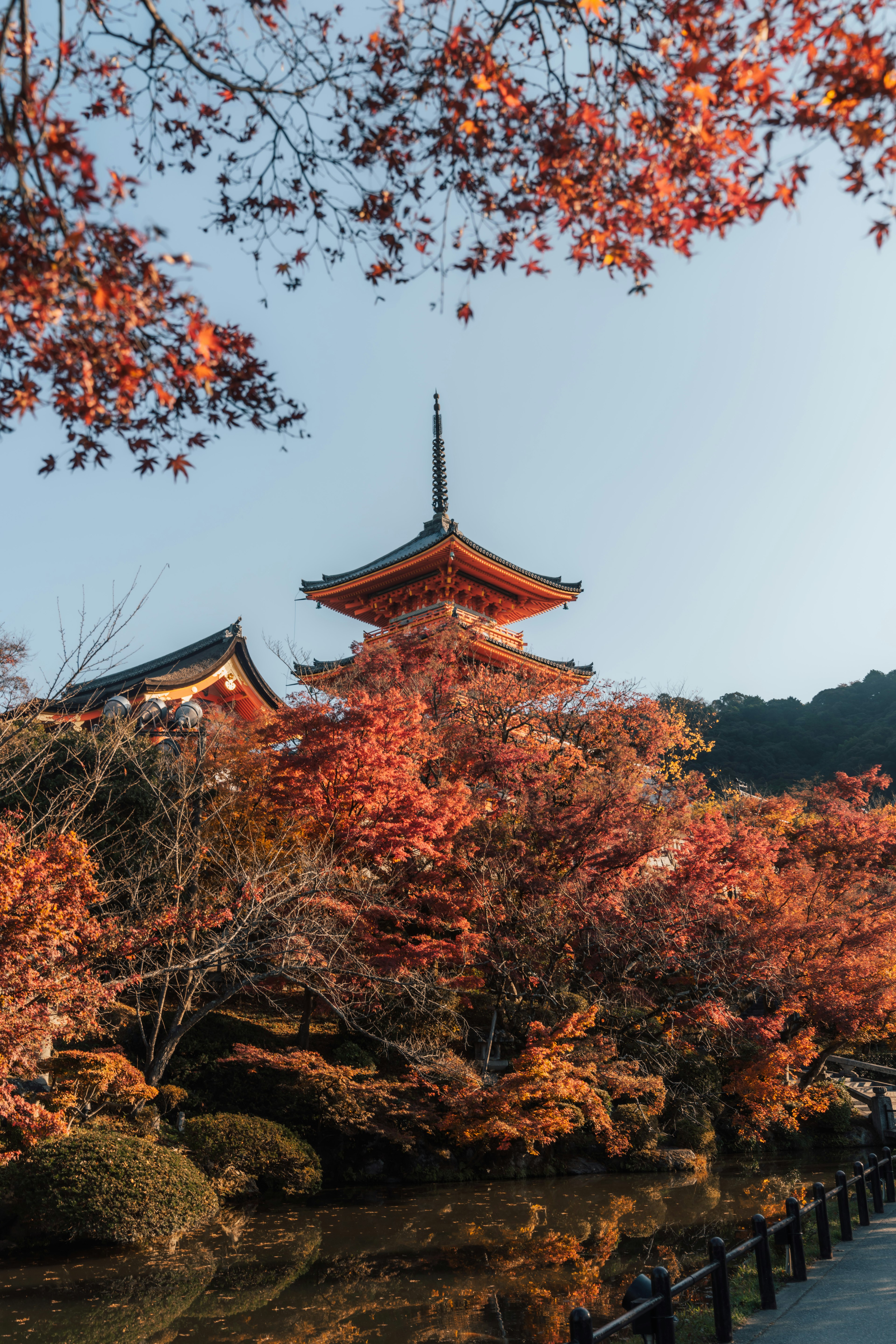 被生动的秋叶环绕的日本寺庙的风景