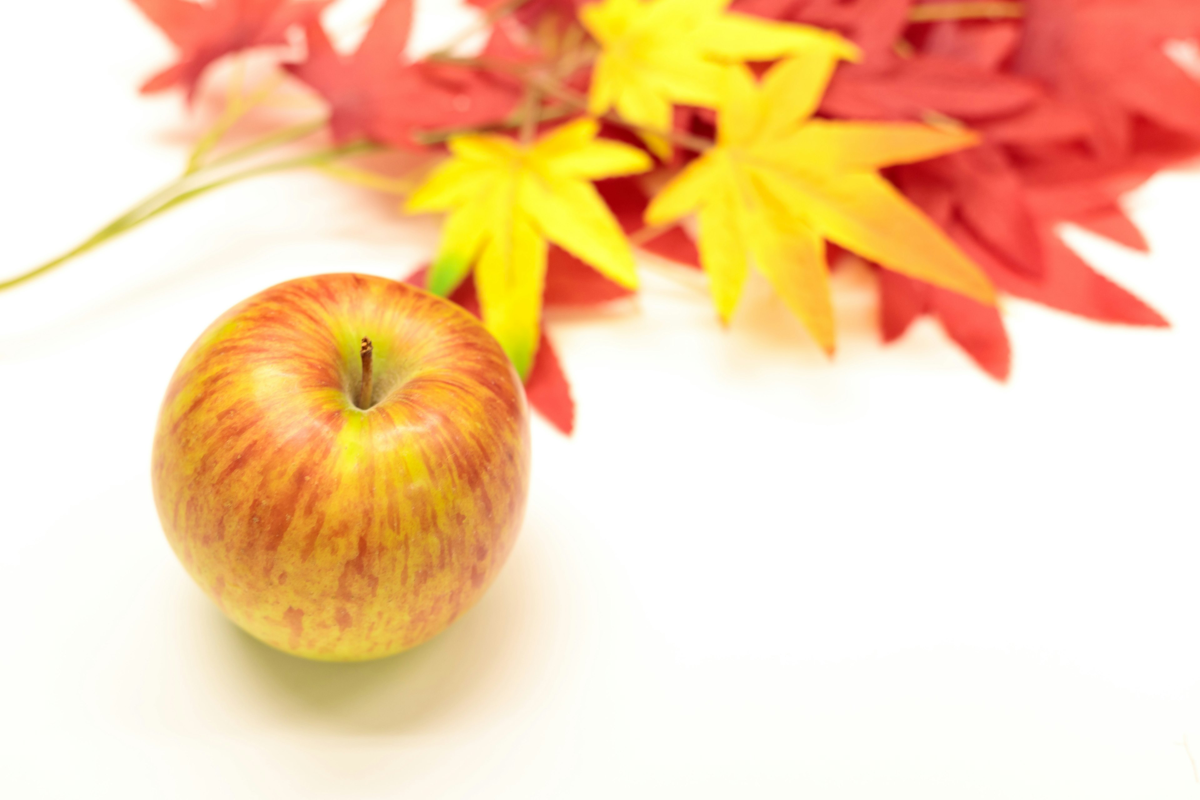 Roter Apfel auf lebhaften roten und gelben Blättern platziert