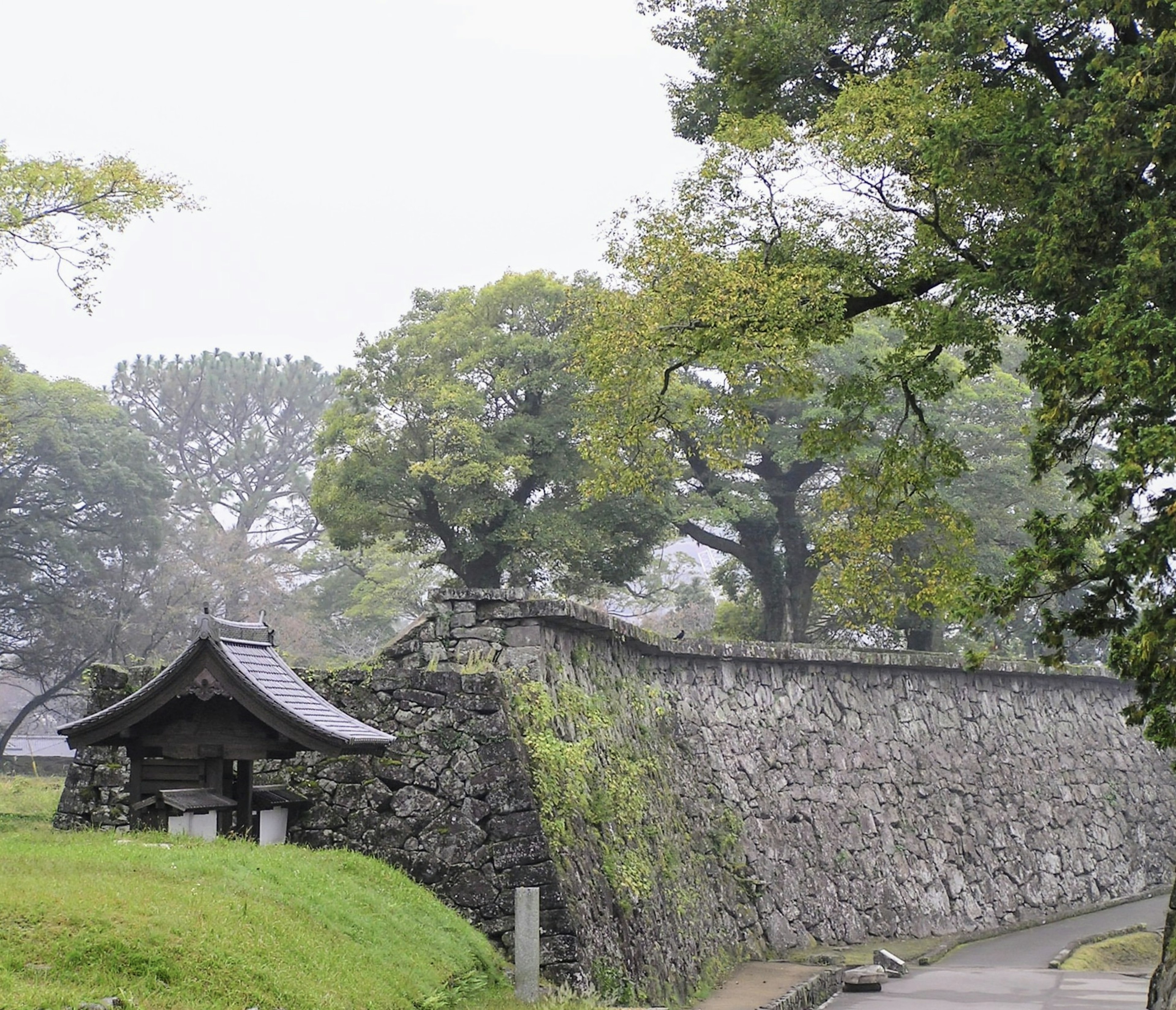 霧に包まれた古い石垣と緑豊かな木々の風景