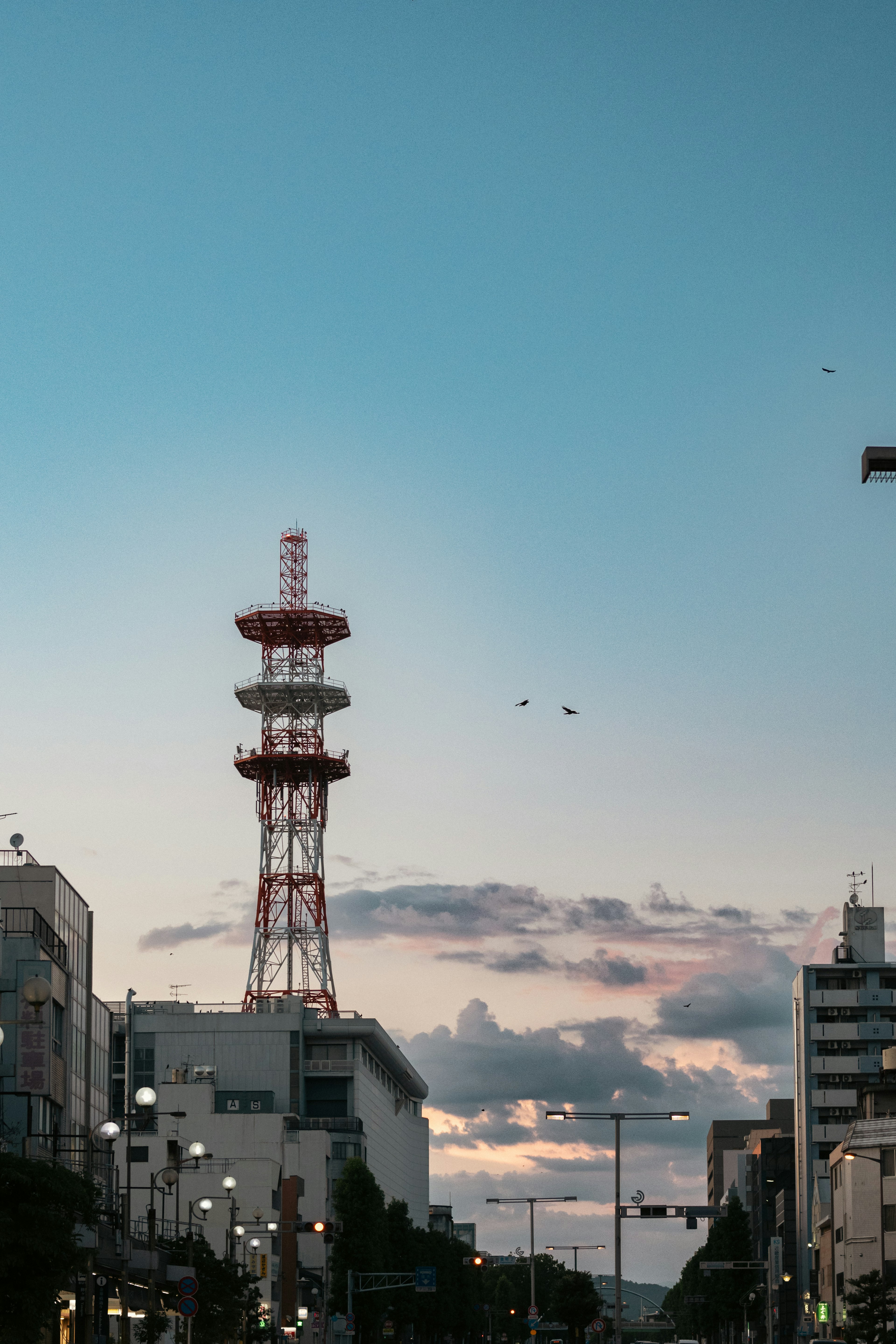 夕暮れ時の街並みと通信塔