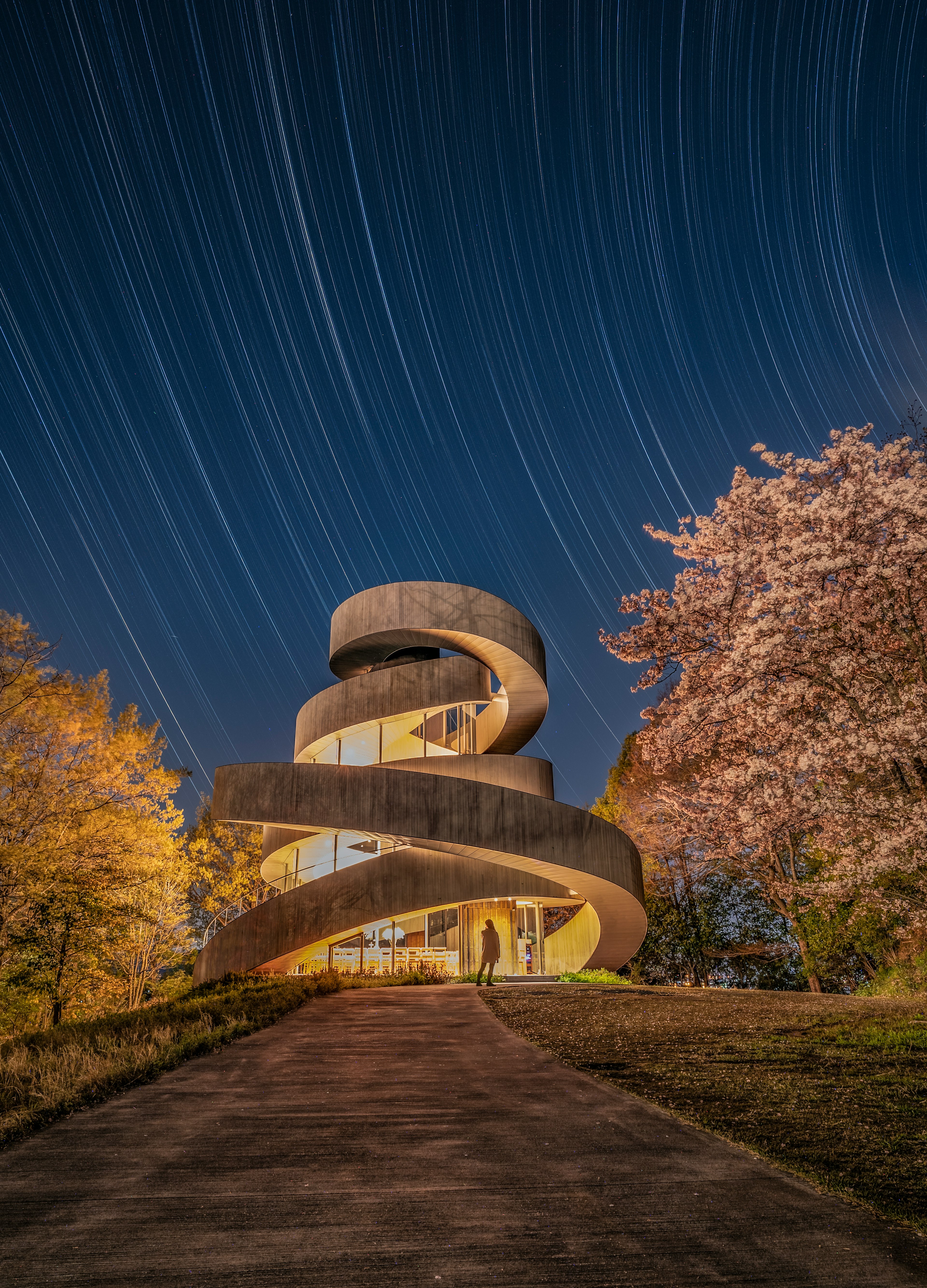 Spiral-shaped building under star trails with cherry blossom trees