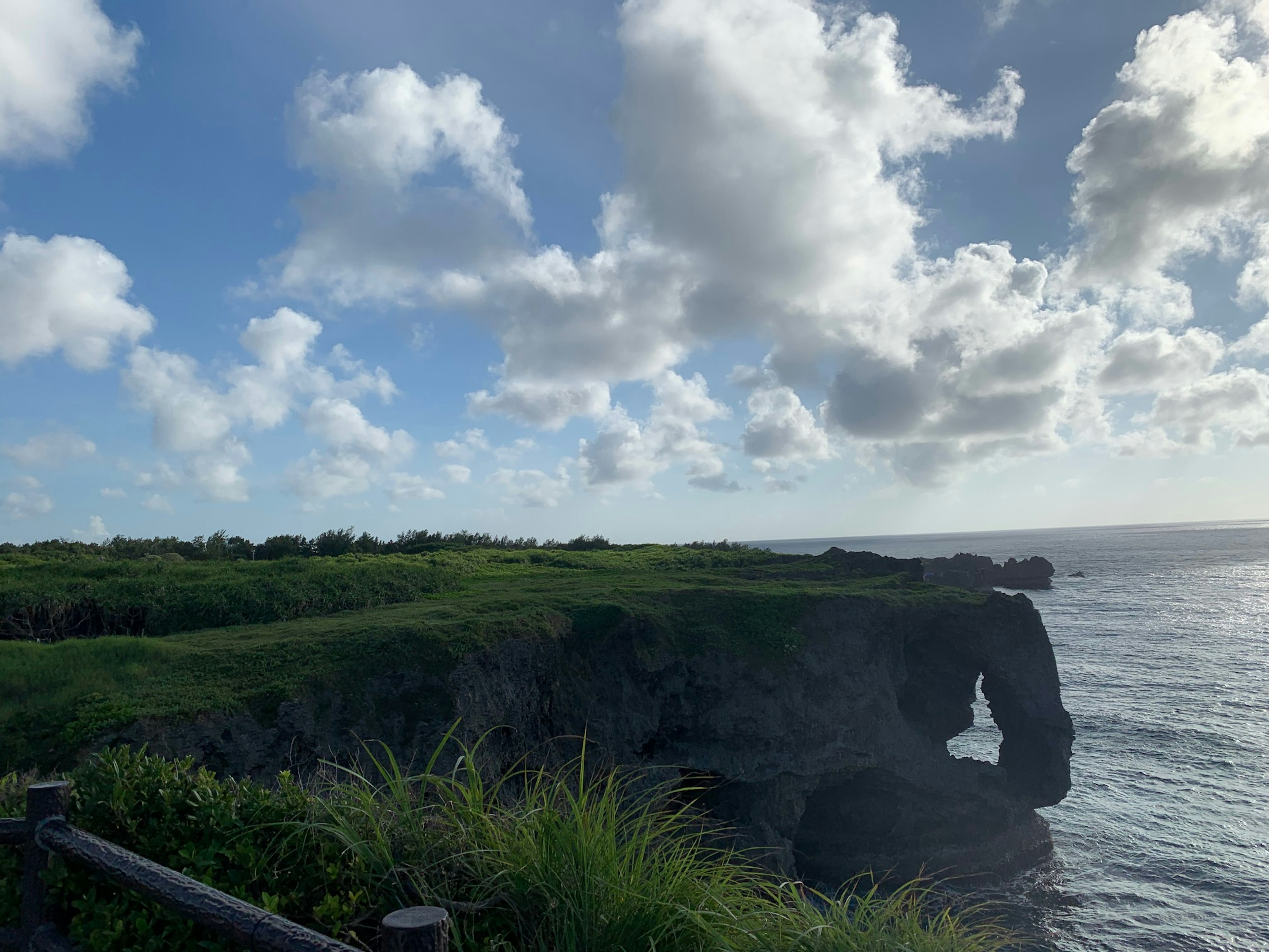 Costa escénica con cielo azul pradera verde exuberante y formaciones rocosas