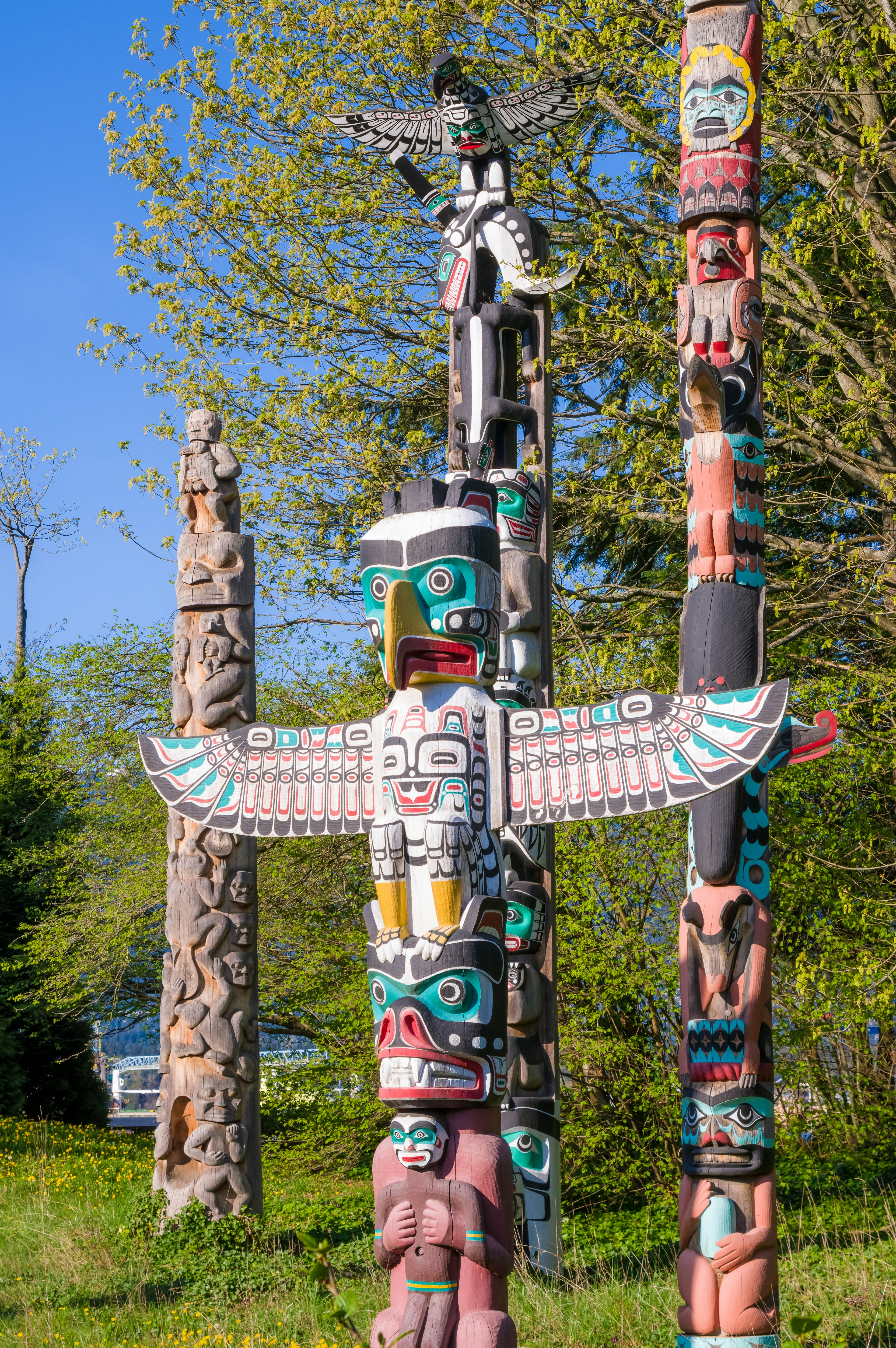 Groupe de totems sous un ciel bleu avec de l'herbe verte