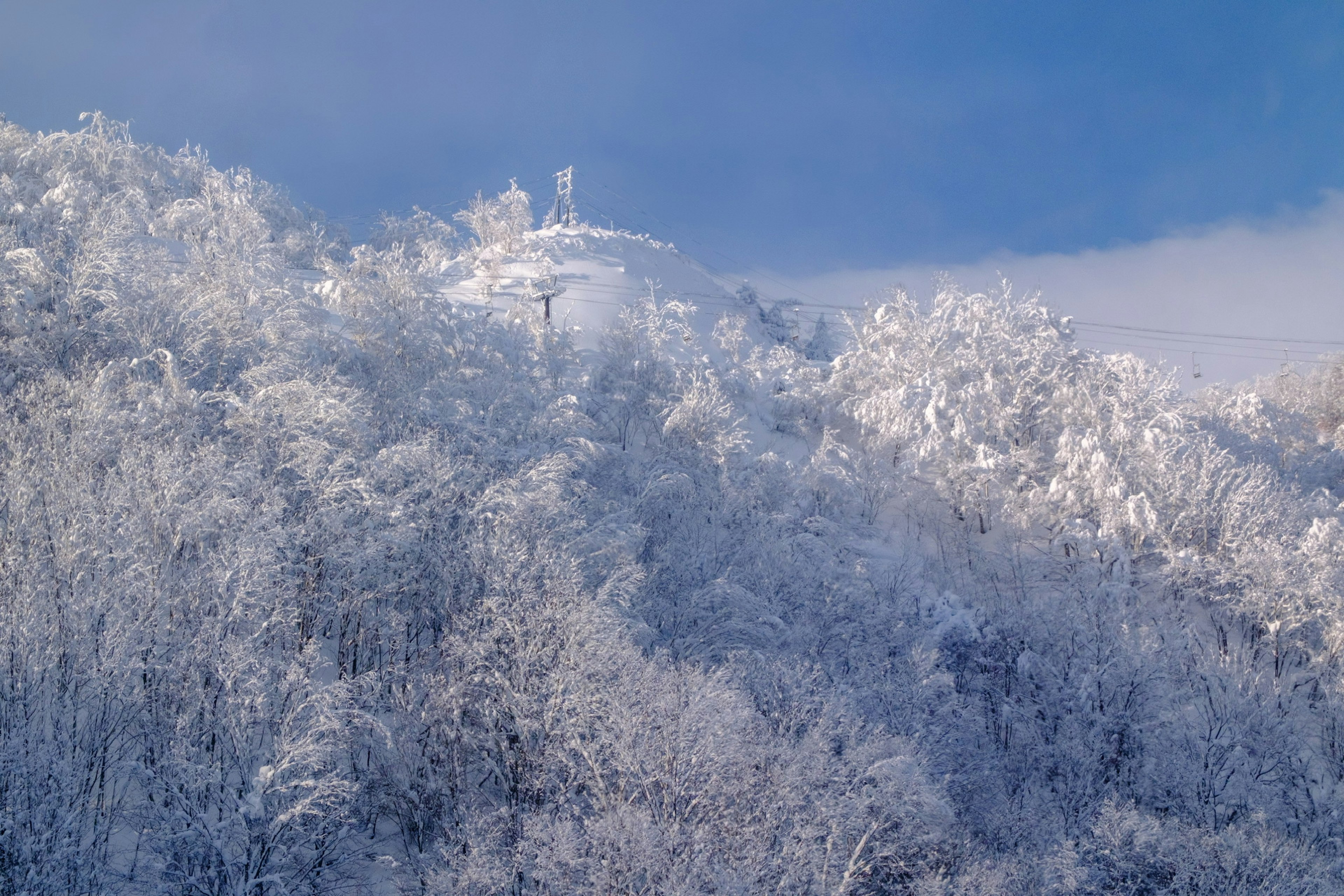 被雪覆蓋的山脈與藍天