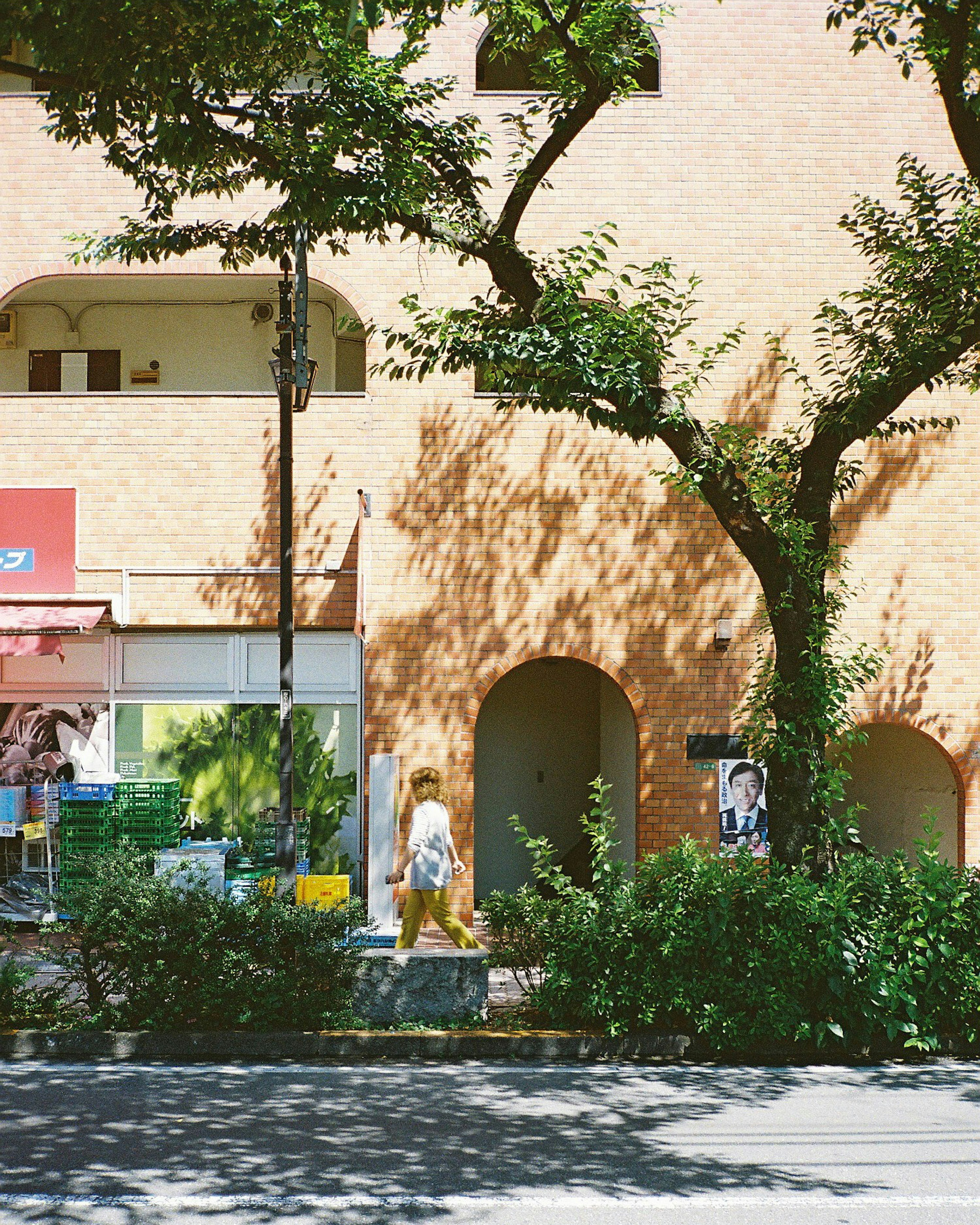 Street view featuring an orange building and lush green trees