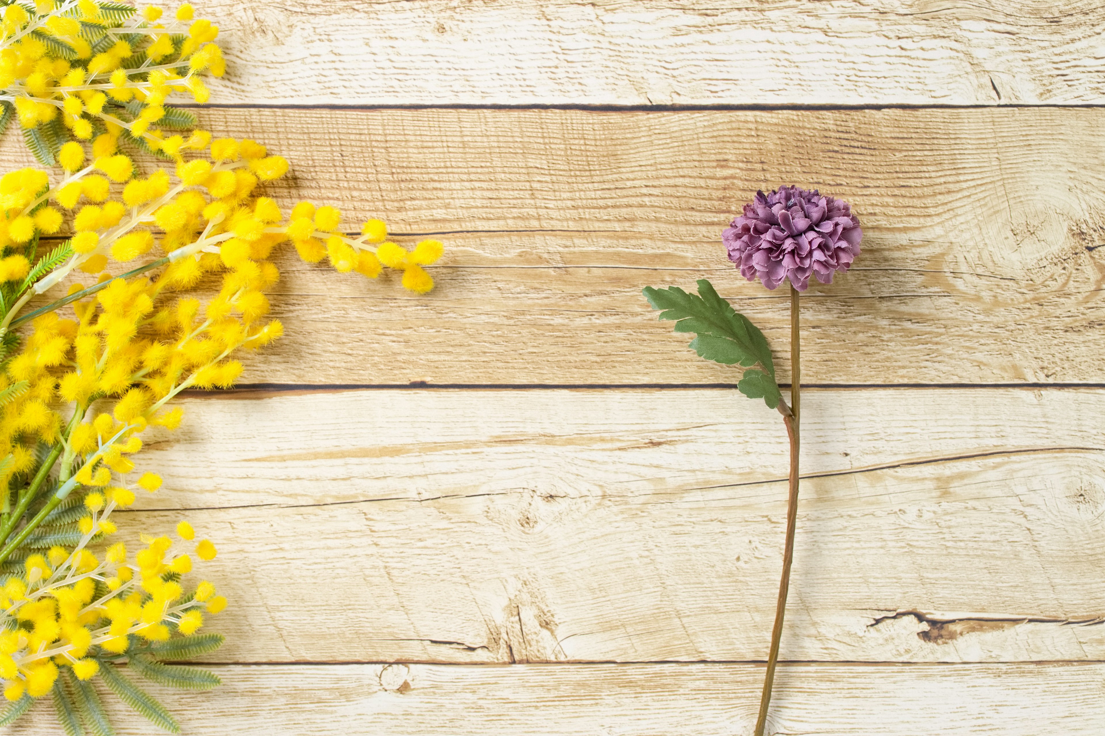 Gelbe Mimose und lila Blume auf einem Holztisch angeordnet