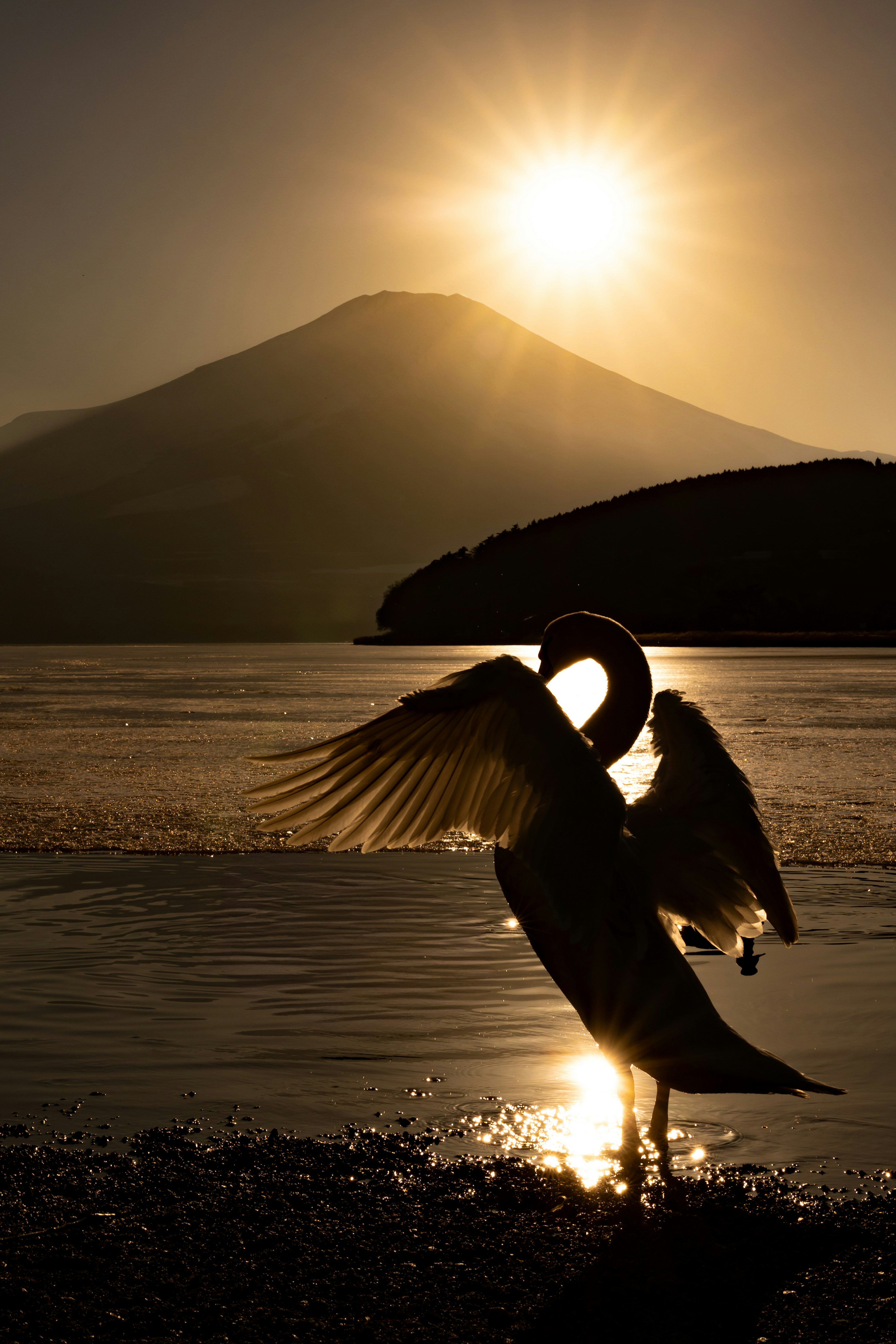 夕日を背景にした美しい白鳥と山の景色