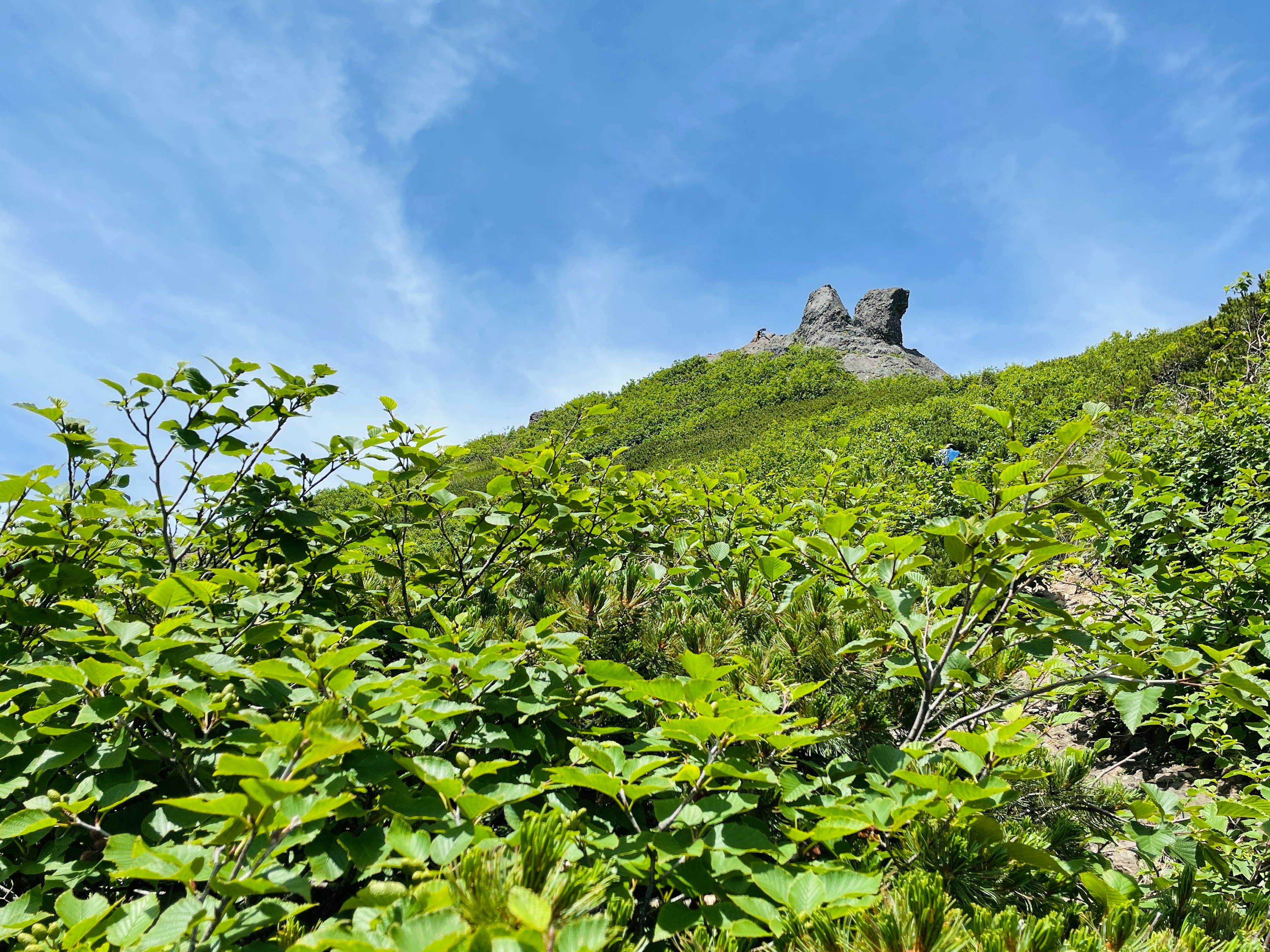 緑の植物に囲まれた山の風景と青空