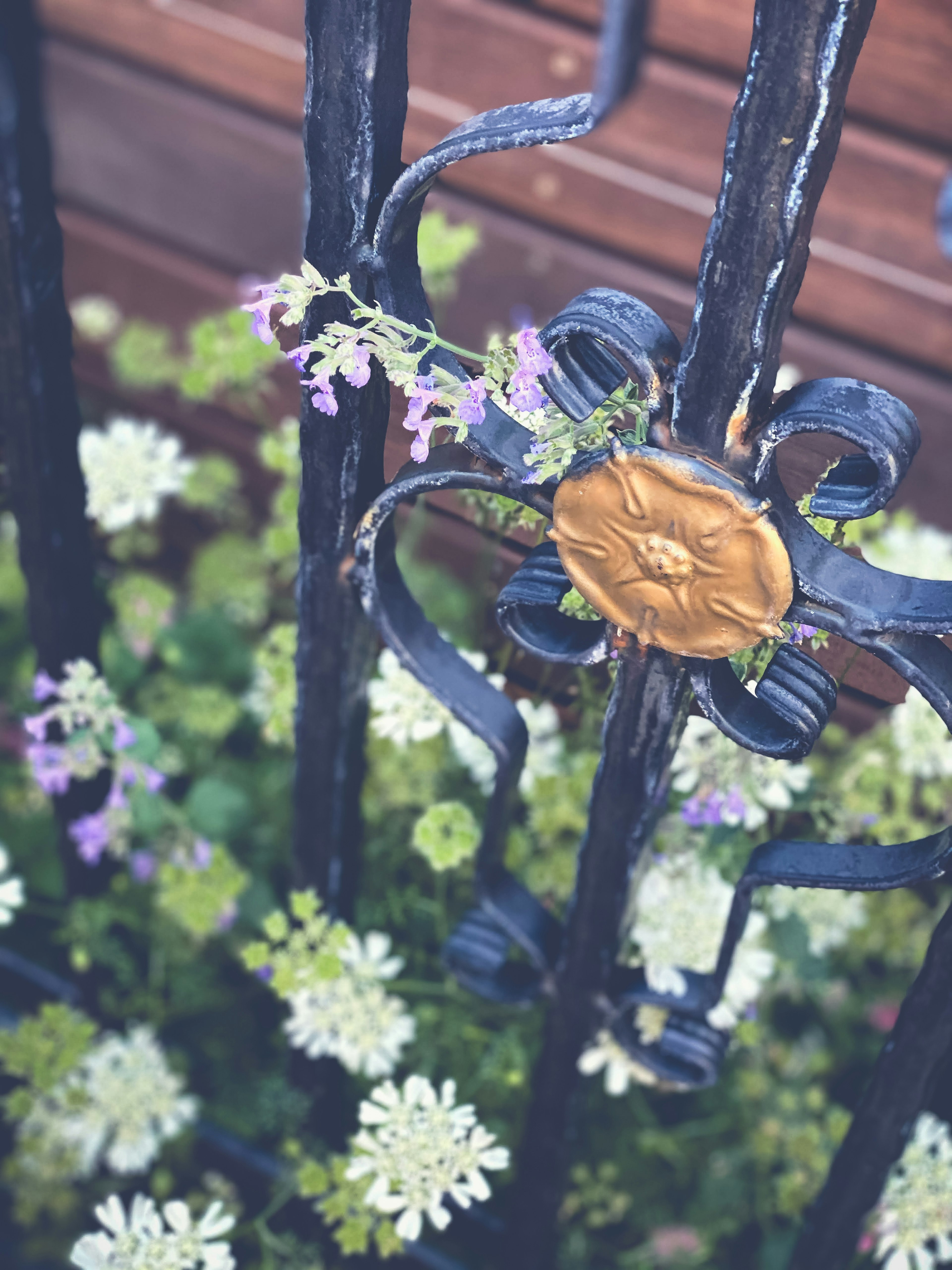 Black wrought iron fence intertwined with green and purple flowers and a golden ornament