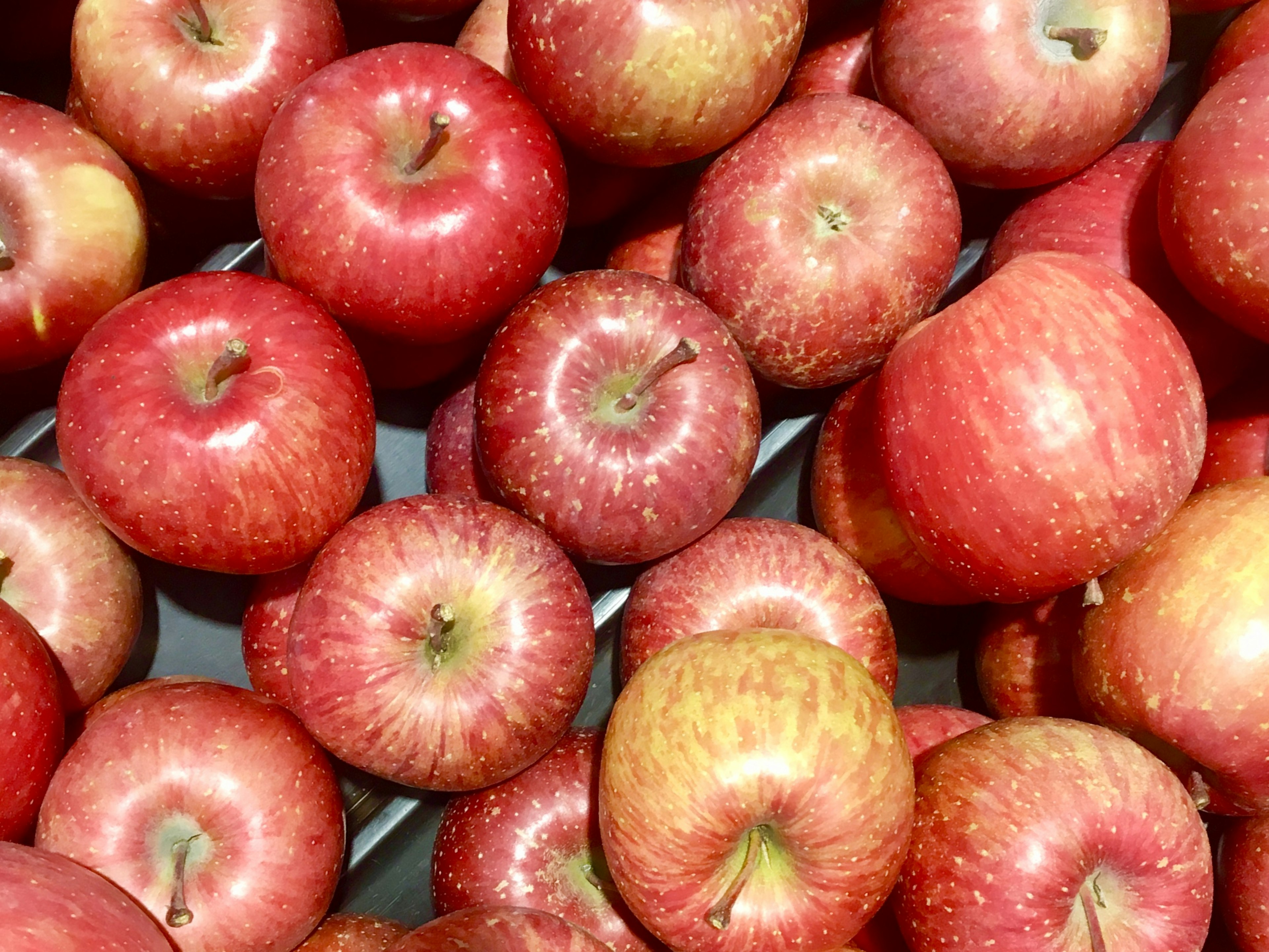 A collection of red apples piled together