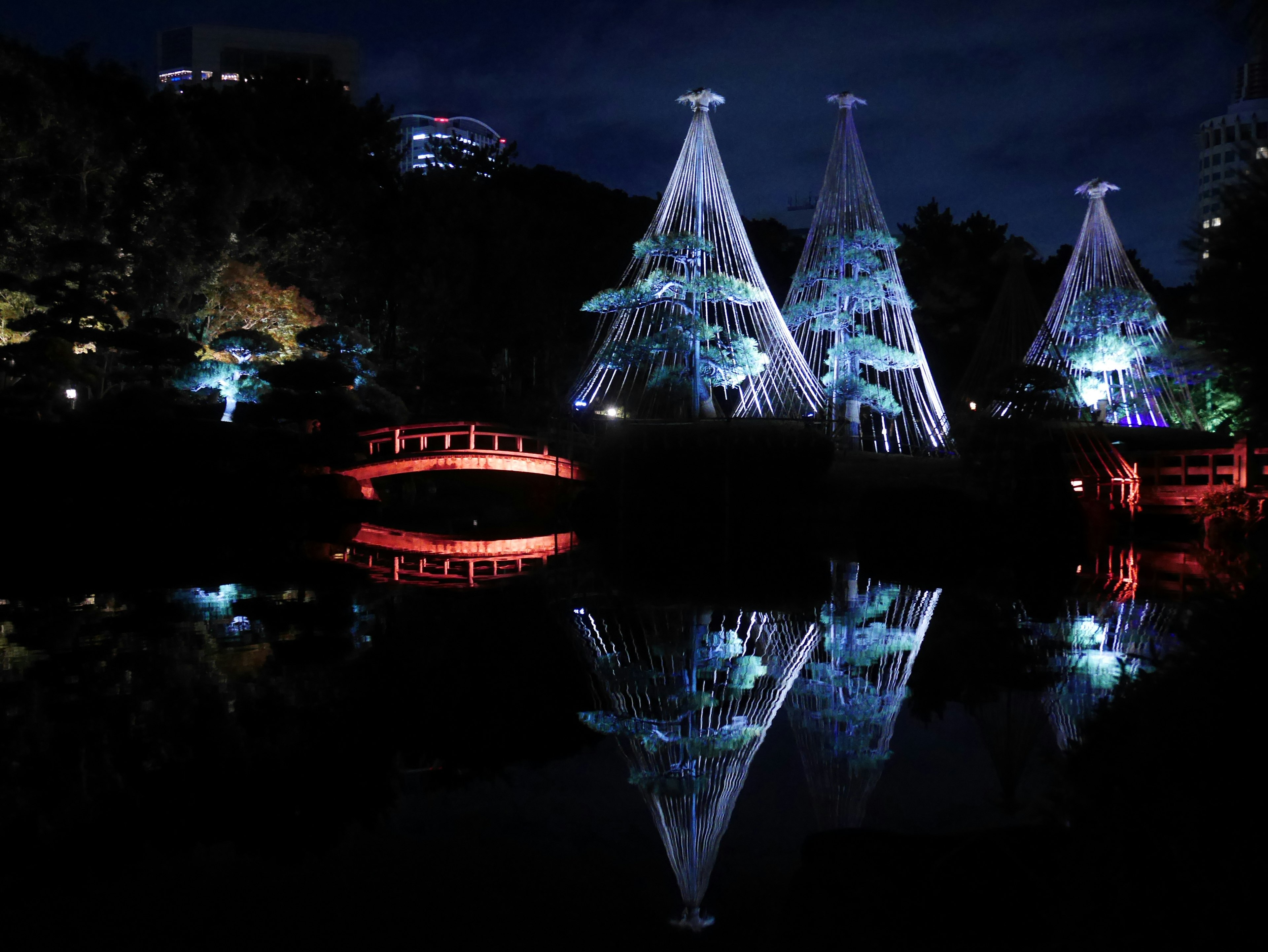 Beleuchtete Bäume und eine rote Brücke, die sich nachts in einem dunklen Park spiegeln