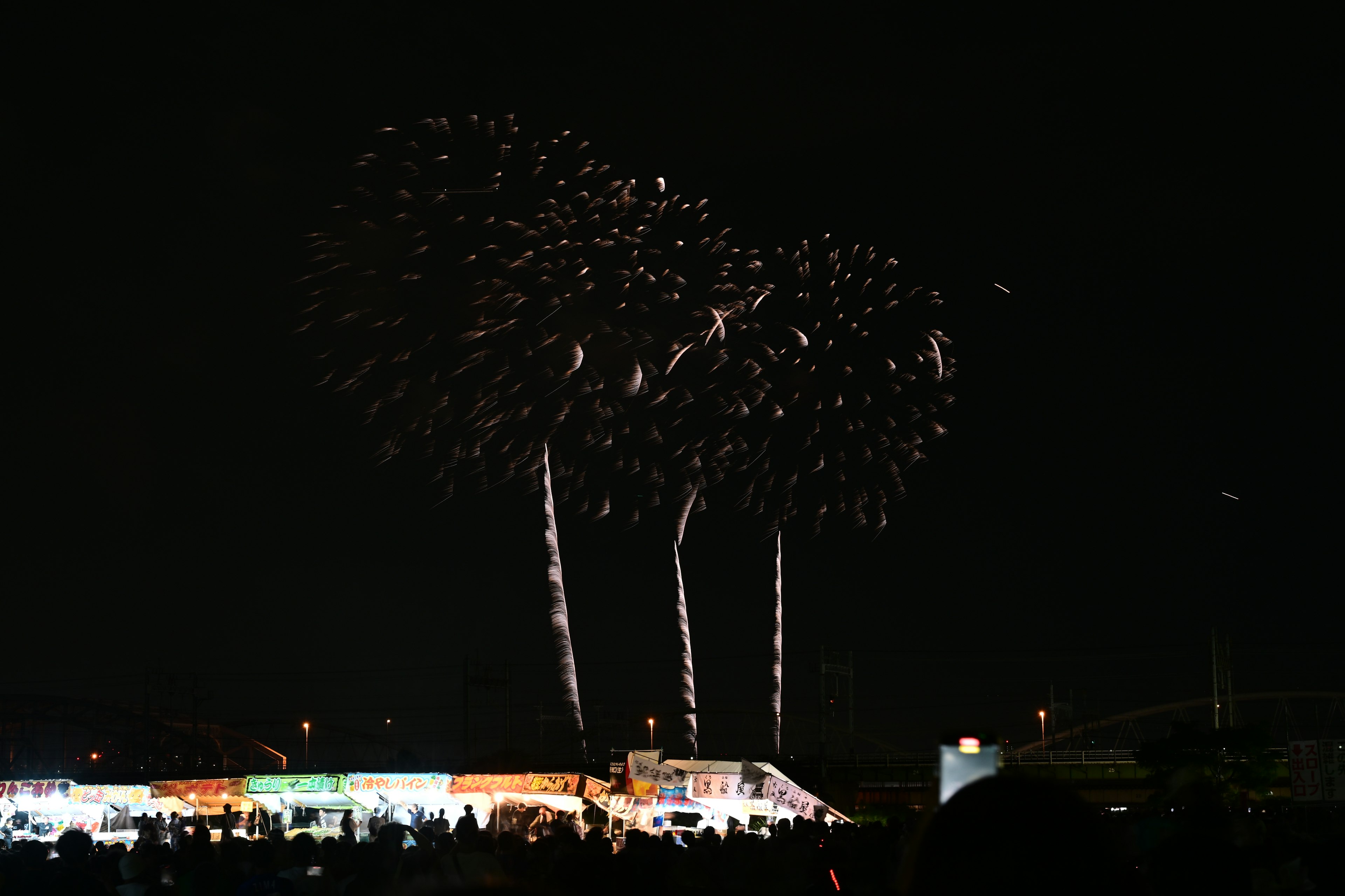 夜空に打ち上げられた花火が輝く風景