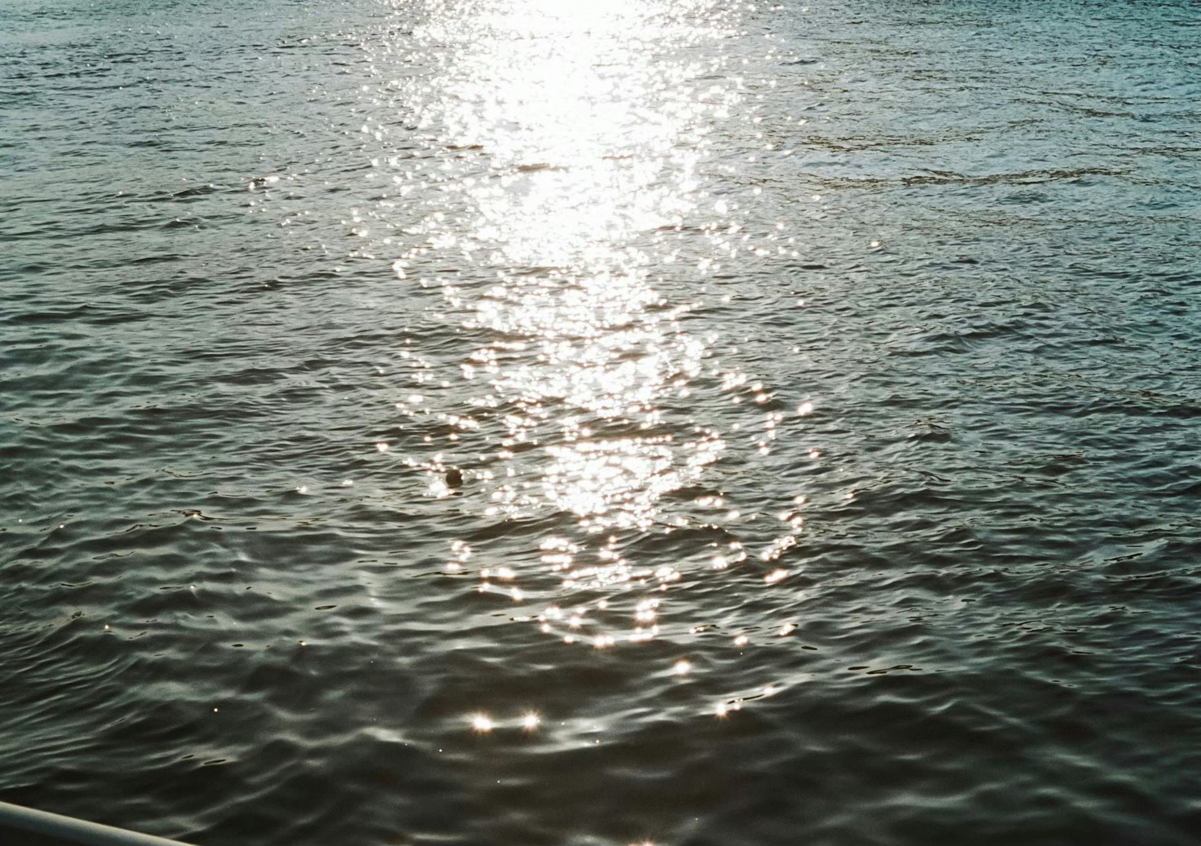 Serene lake view with sunlight reflecting on the water surface