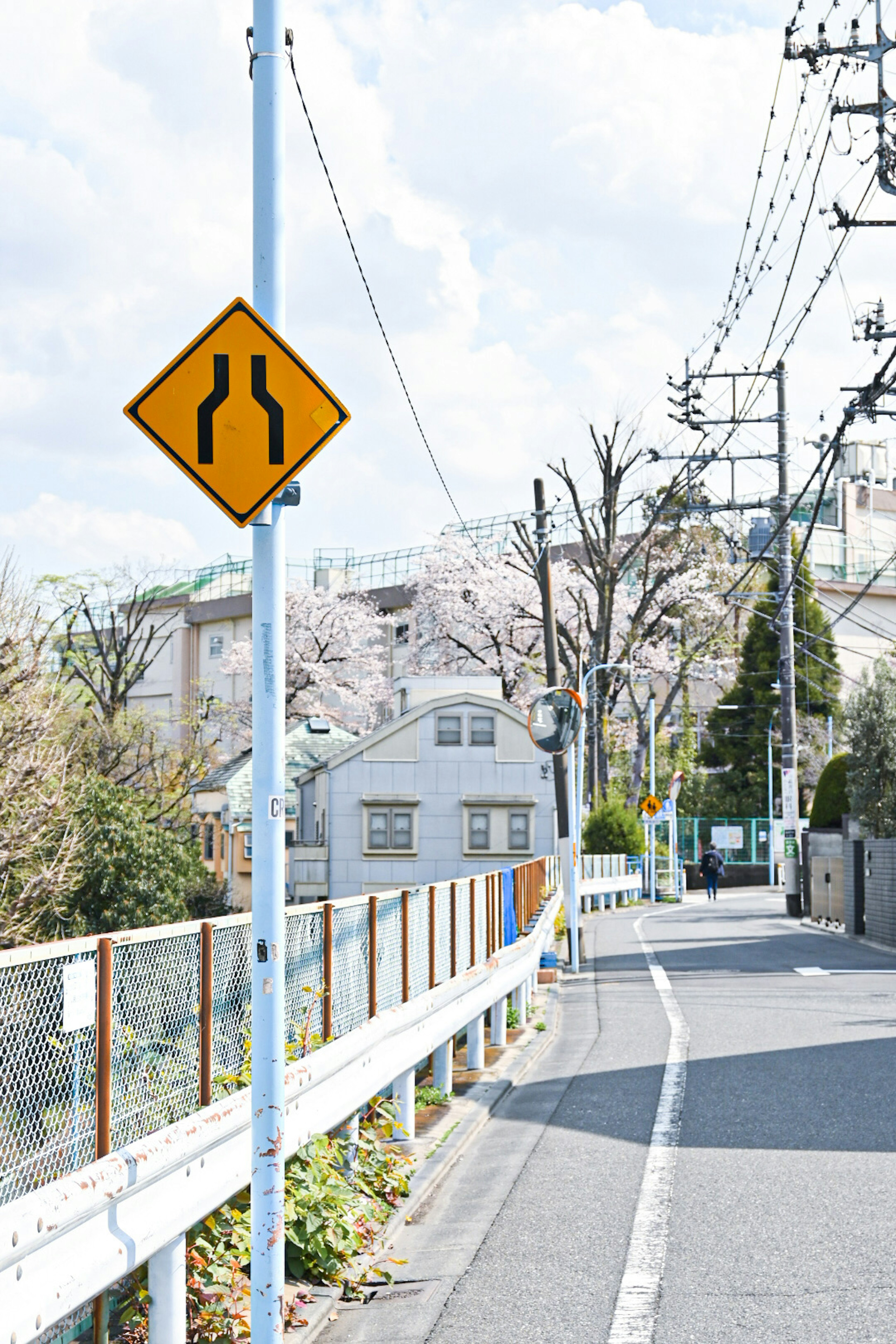 Road sign indicating a curve with cherry blossom trees in the background