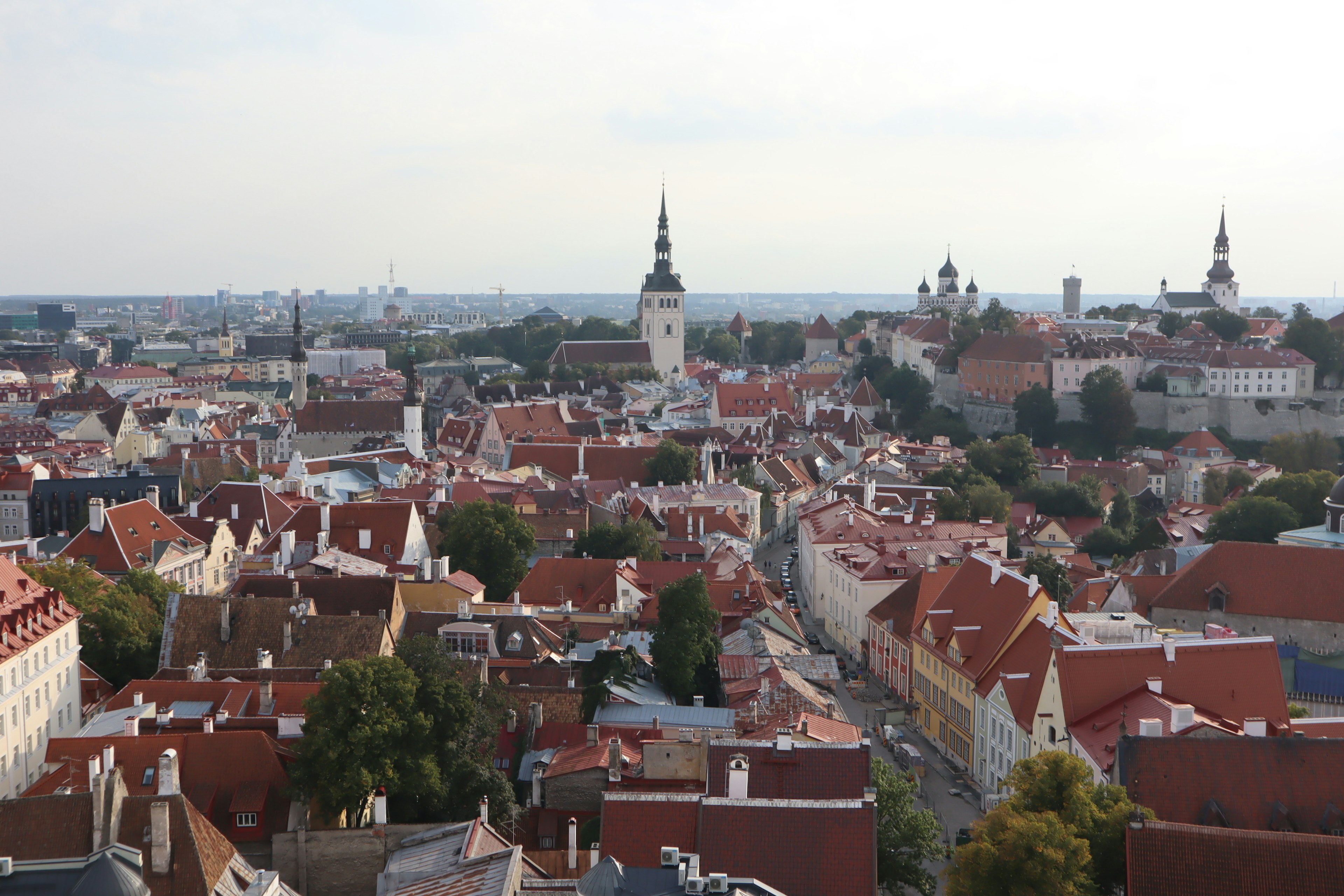 Cảnh quan toàn cảnh Tallinn với mái đỏ và tháp