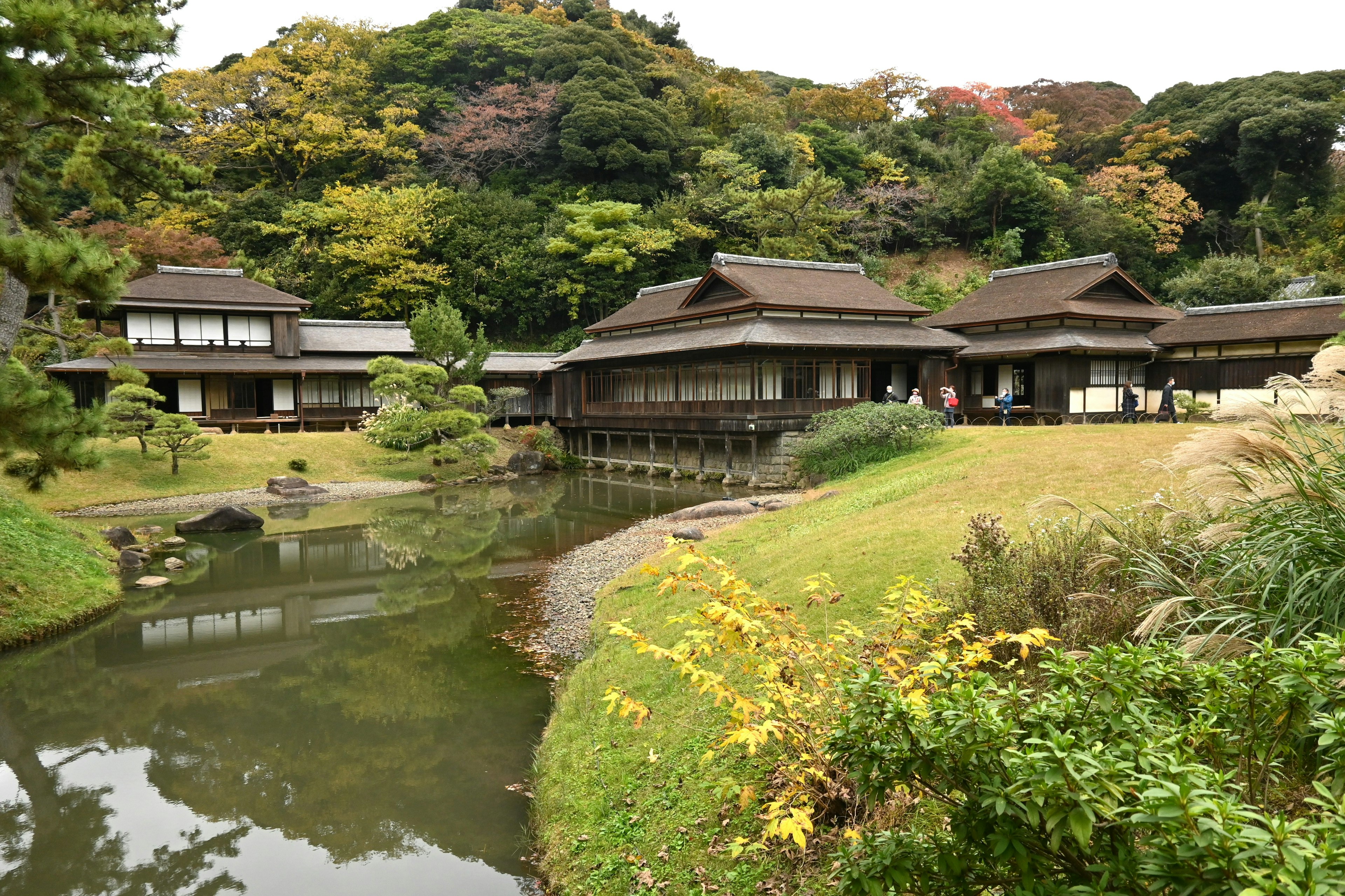 Vue pittoresque de bâtiments japonais traditionnels près d'un étang de jardin tranquille