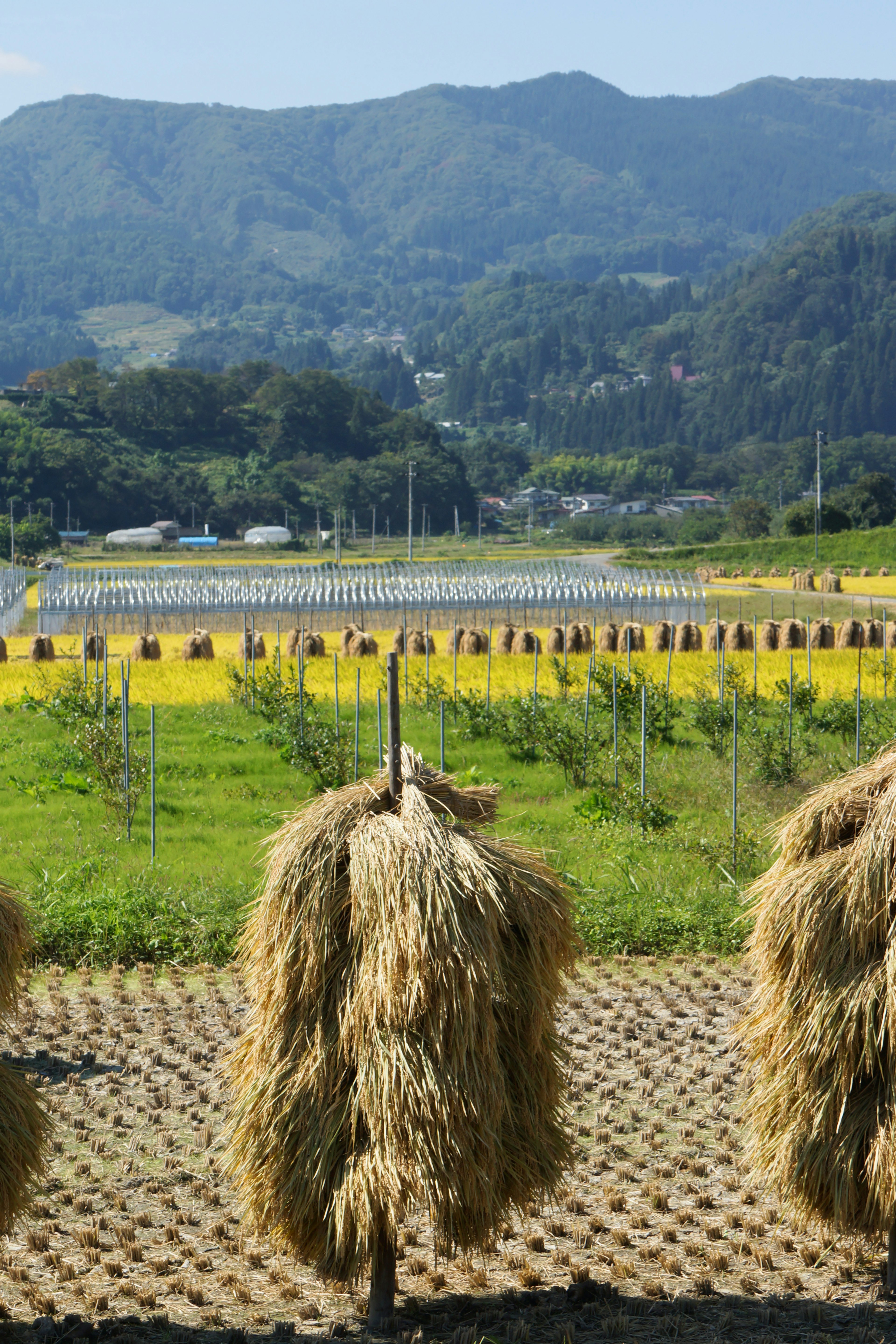 Paysage rural pittoresque avec des bottes de foin exposées contre des montagnes