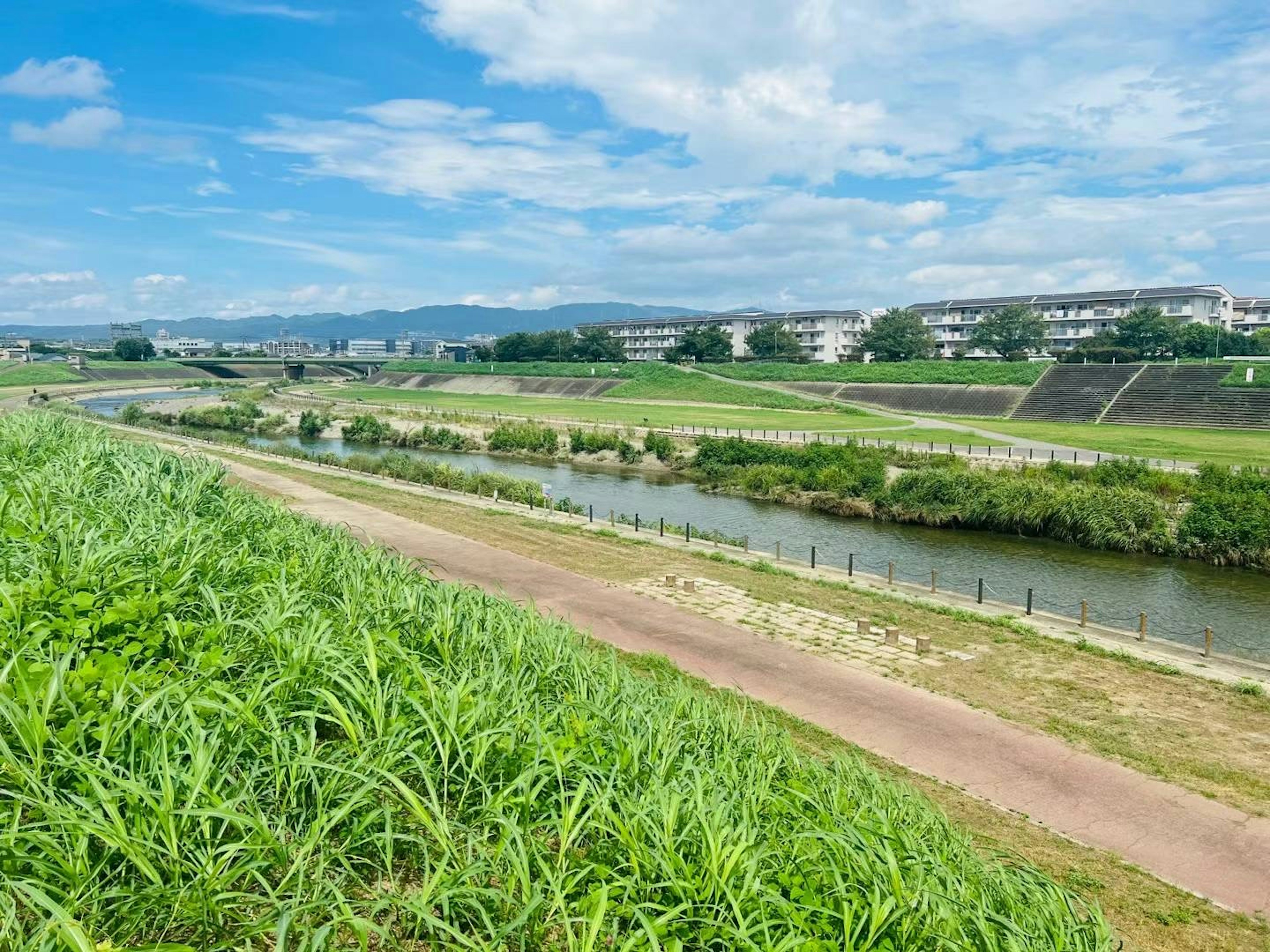 Vue panoramique d'une rivière avec de l'herbe verte sous un ciel bleu