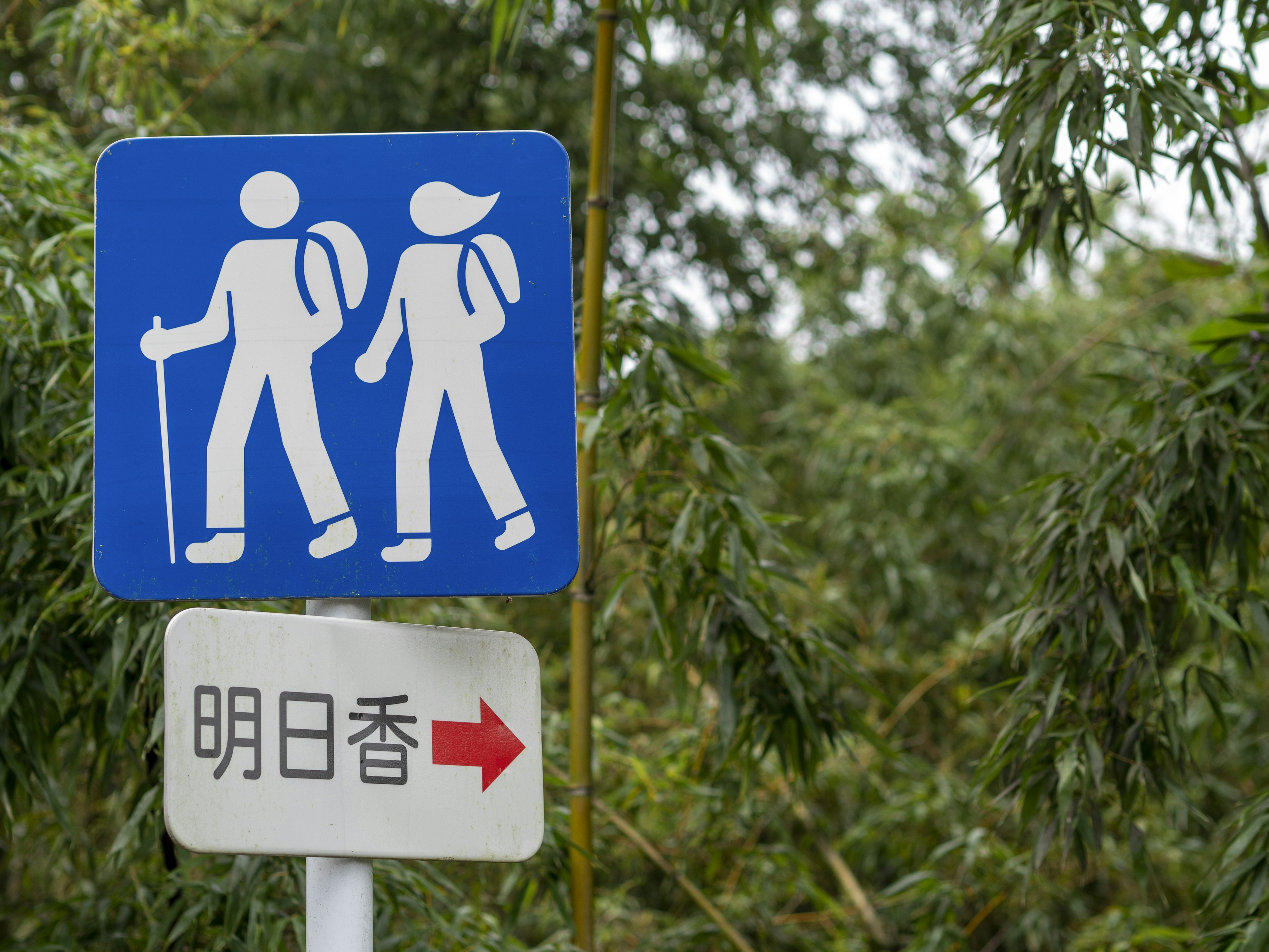 Blue hiking sign with figures and directional arrow