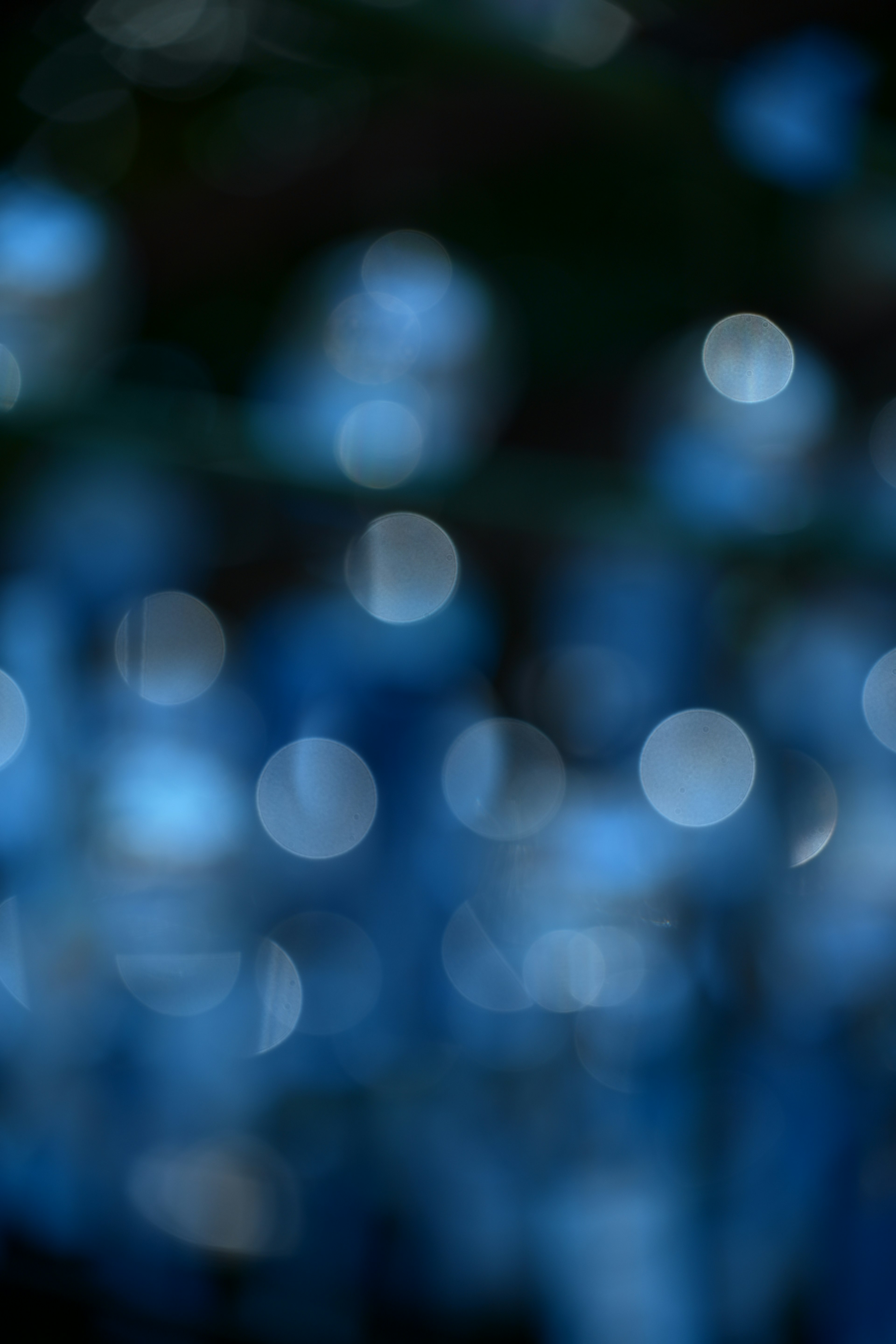 Image avec des lumières bleues floues créant un fond onirique