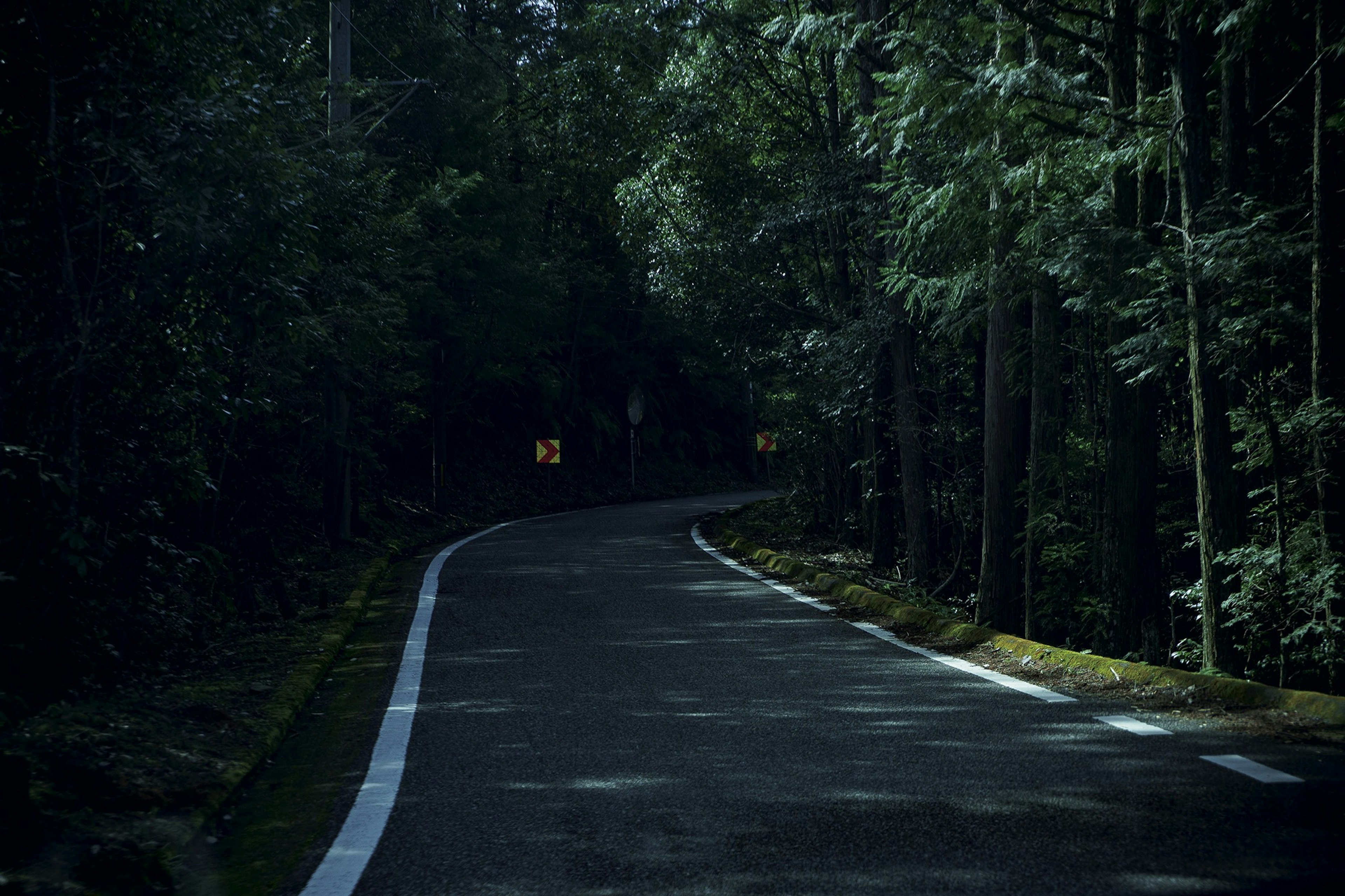 蜿蜒的道路穿過黑暗森林