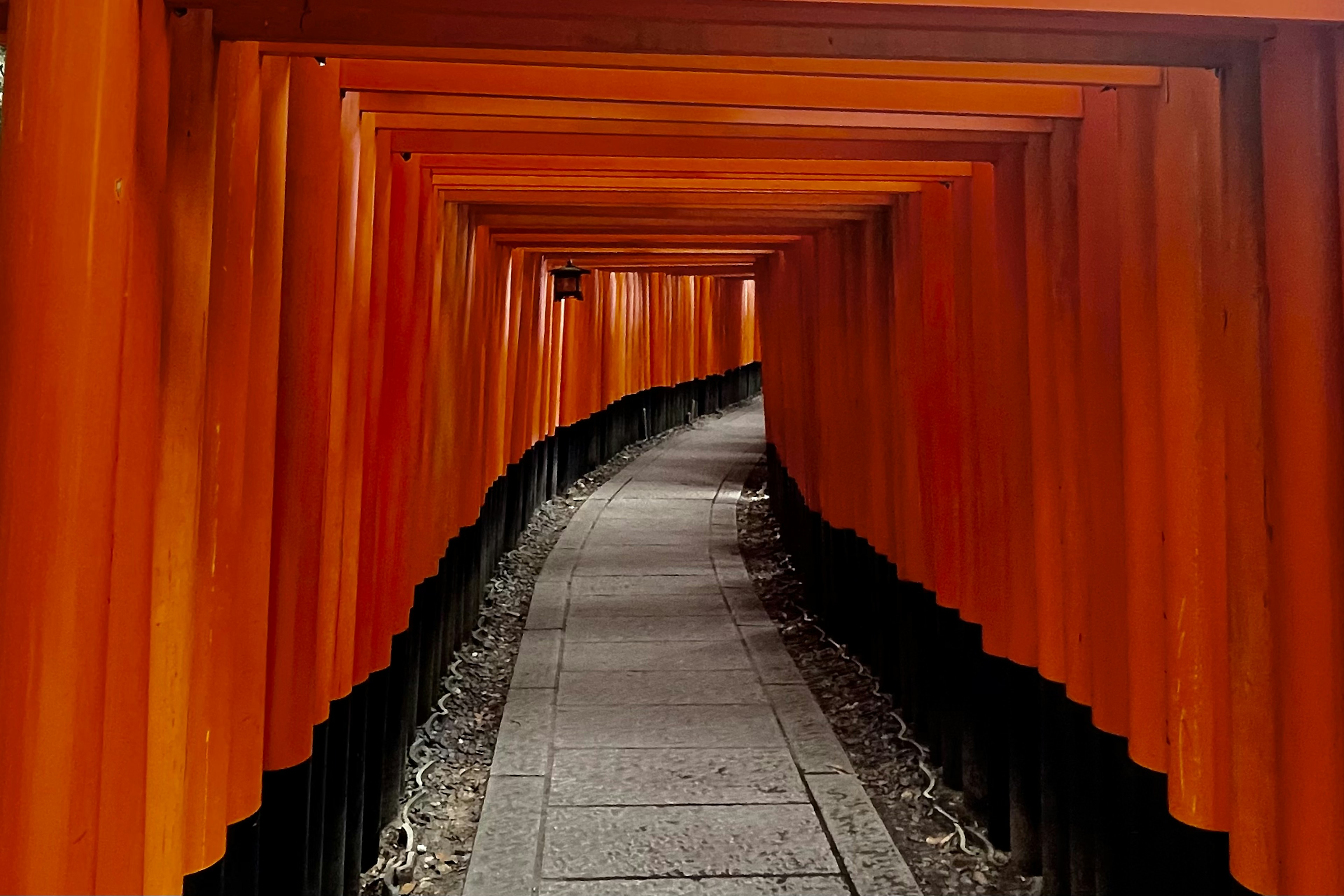 Jalan yang dikelilingi oleh gerbang torii merah di Kuil Fushimi Inari