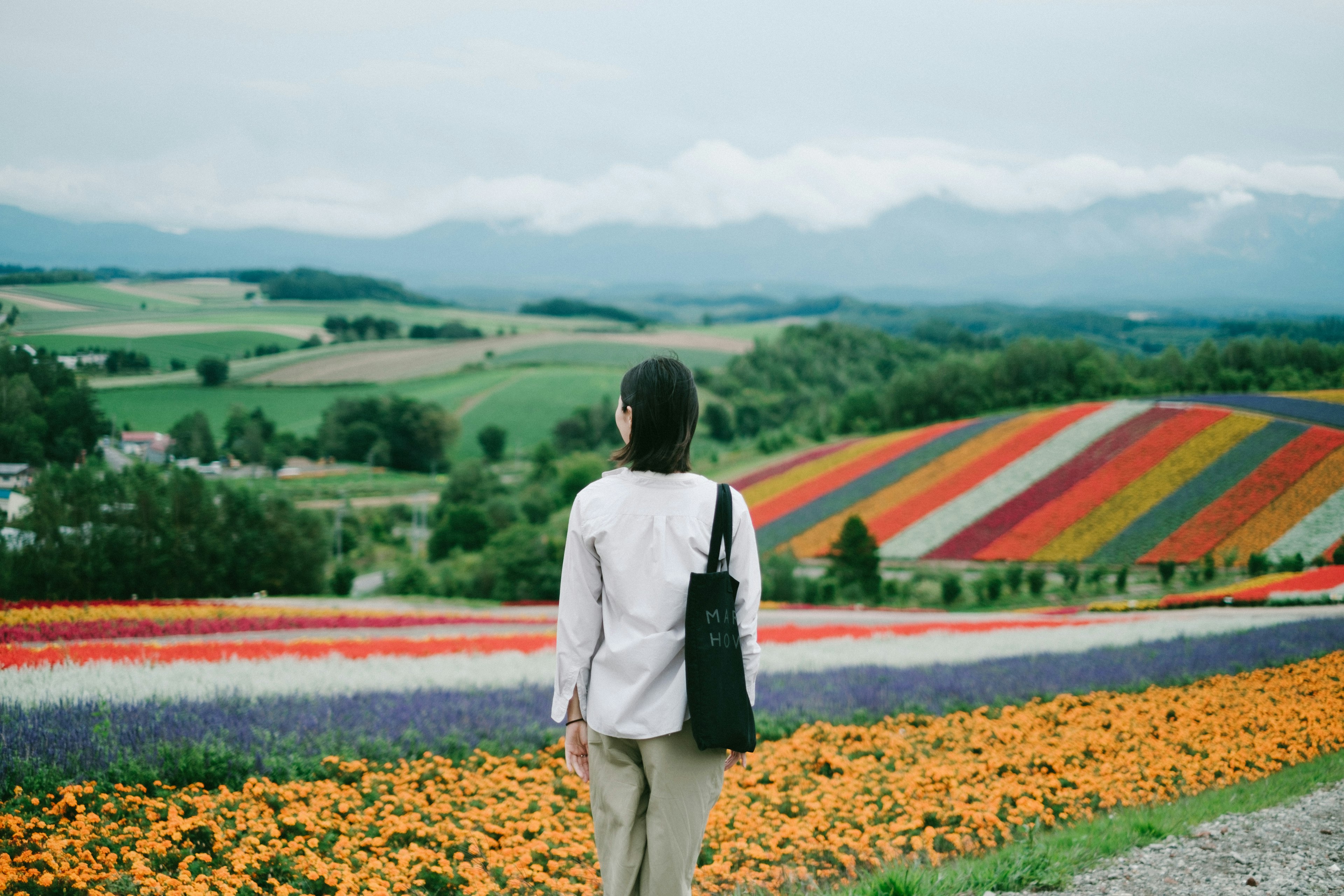 Femme de dos devant des champs de fleurs colorées