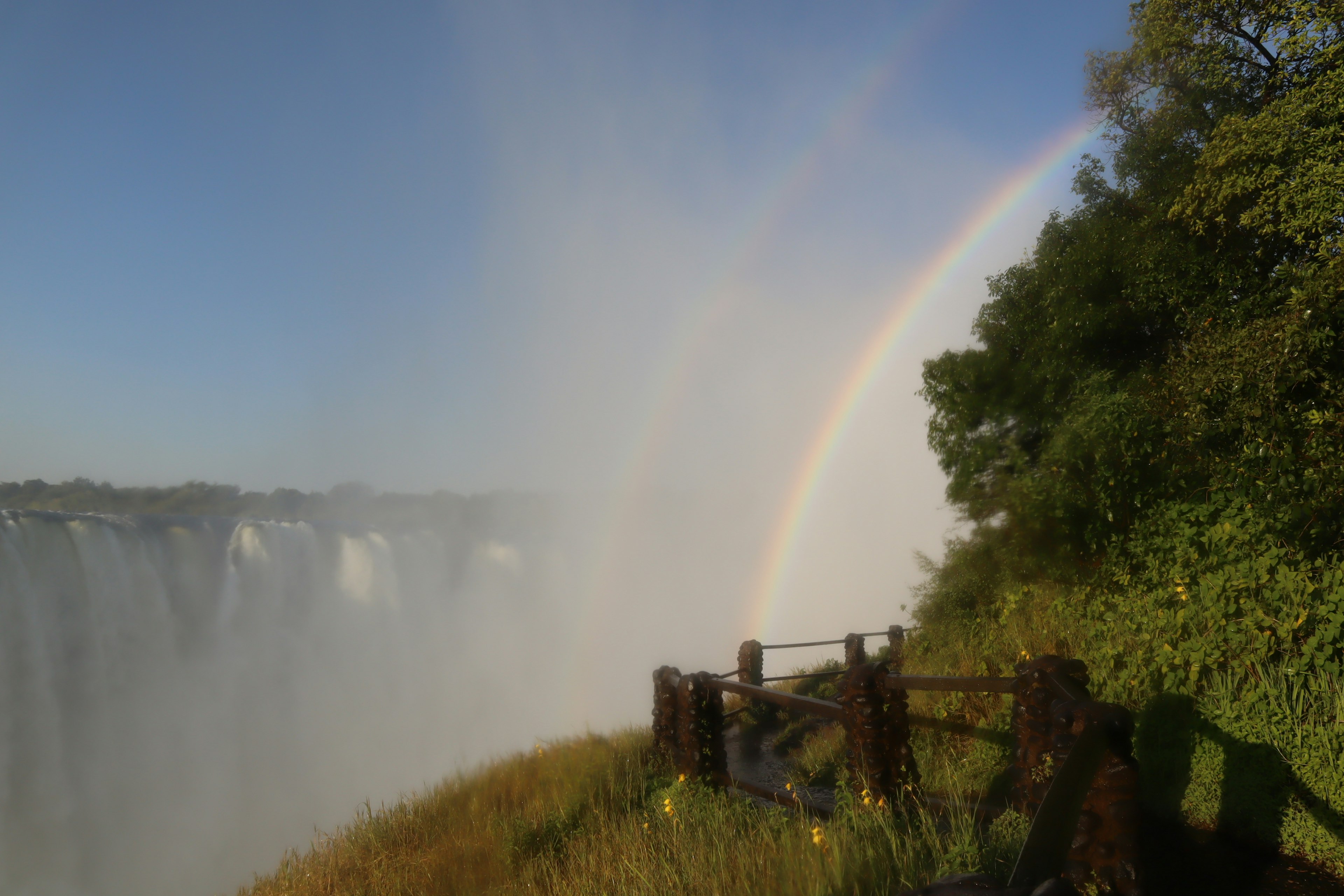 Vue pittoresque d'une cascade avec un arc-en-ciel visible près d'arbres verts luxuriants et d'herbe